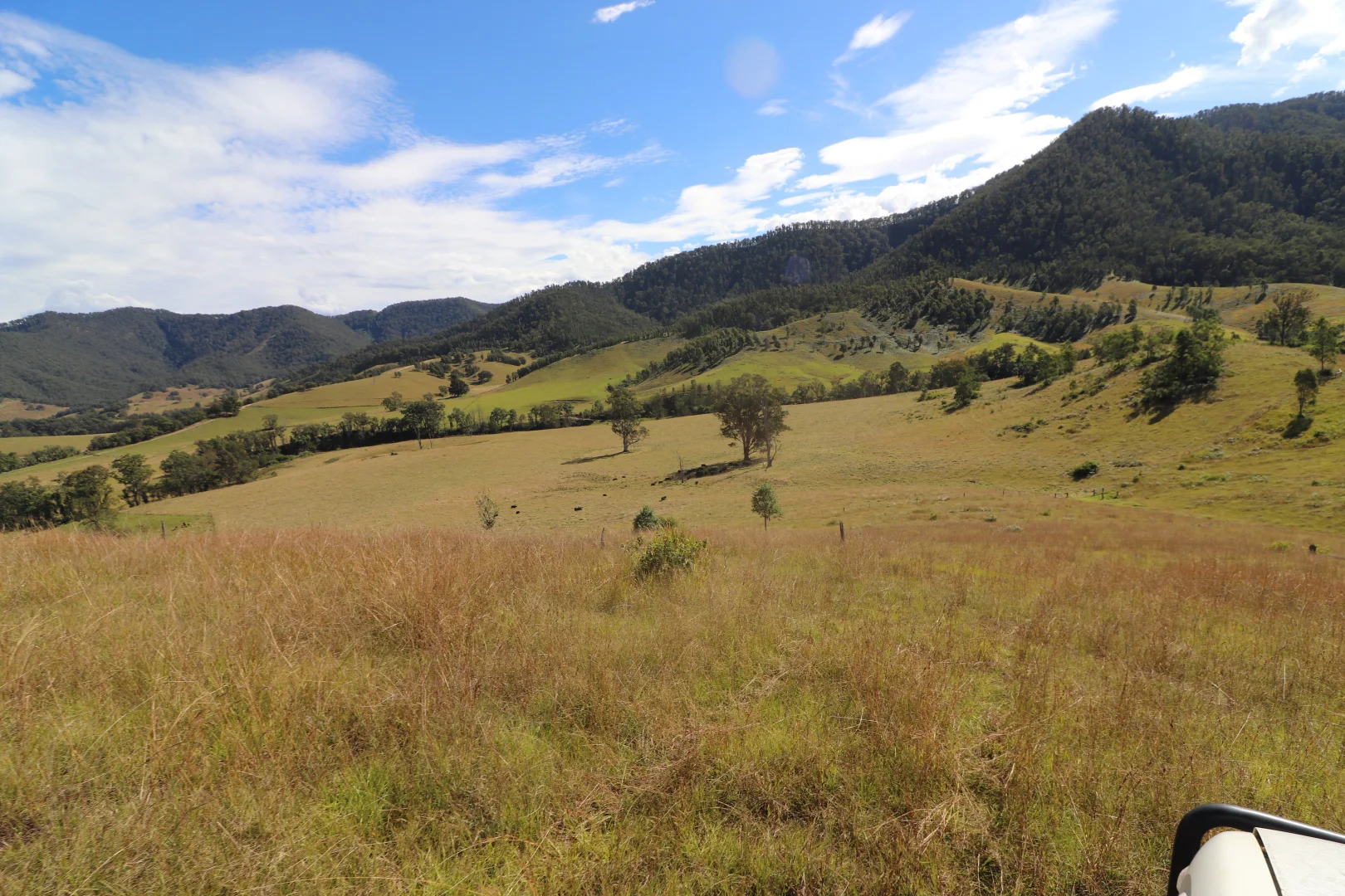 Additional image 16 of 2 Lower Creek Rd, Lower Creek NSW 2440