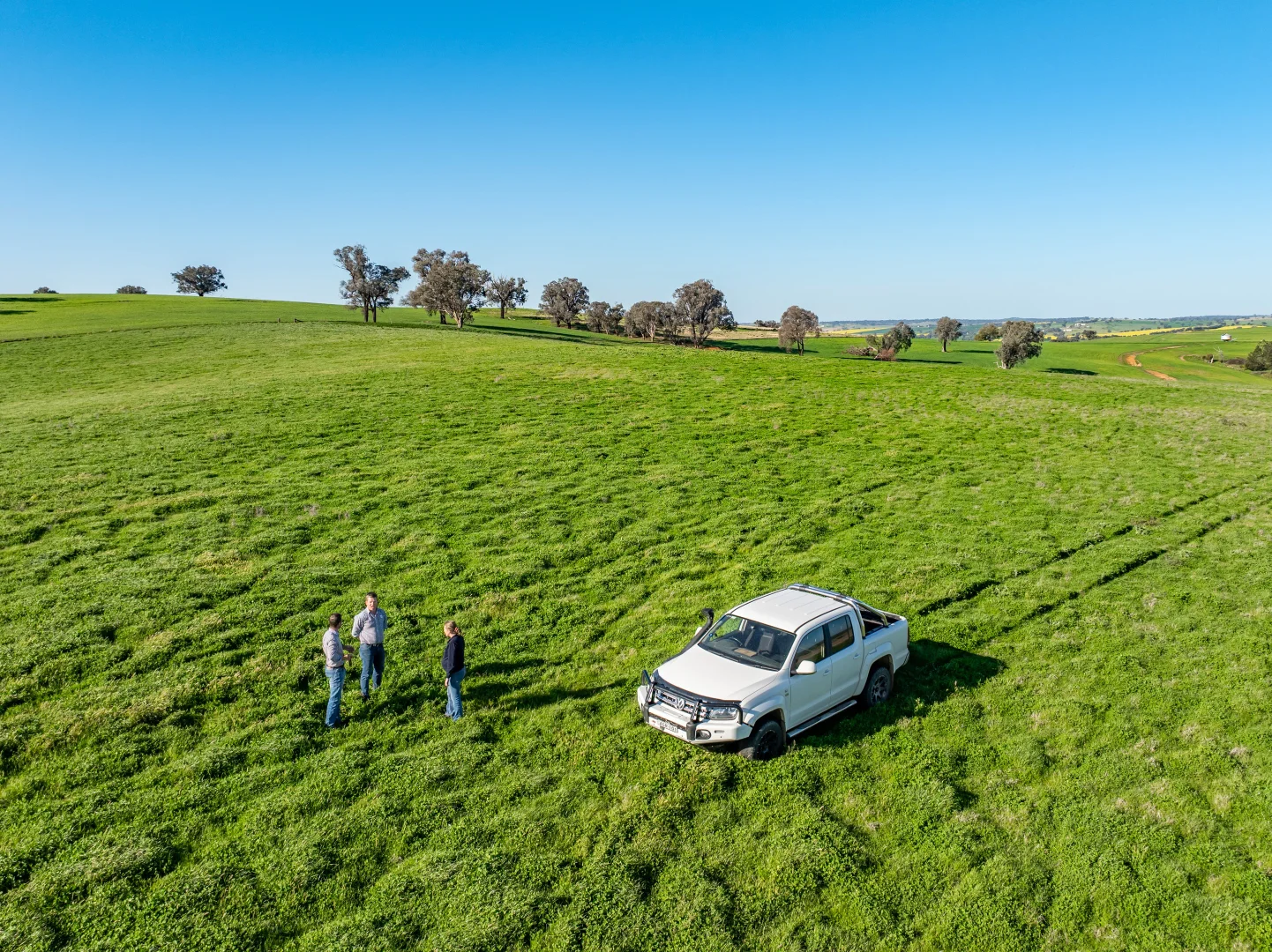 Additional image 3 of Bumbaldry Road, Greenethorpe NSW 2809