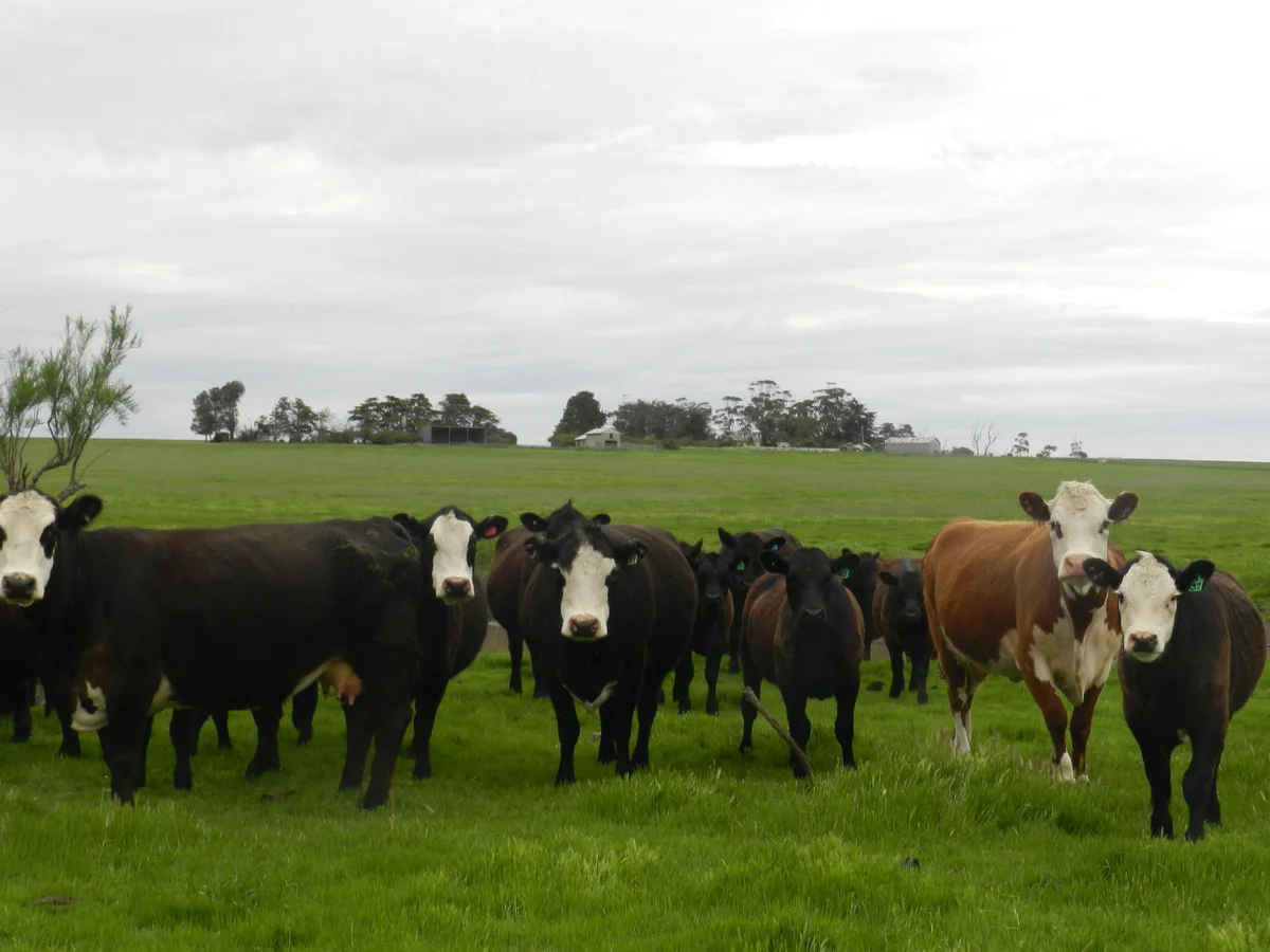 Additional image 11 of 2310 Colac-Ballarat Road, Weering VIC 3251