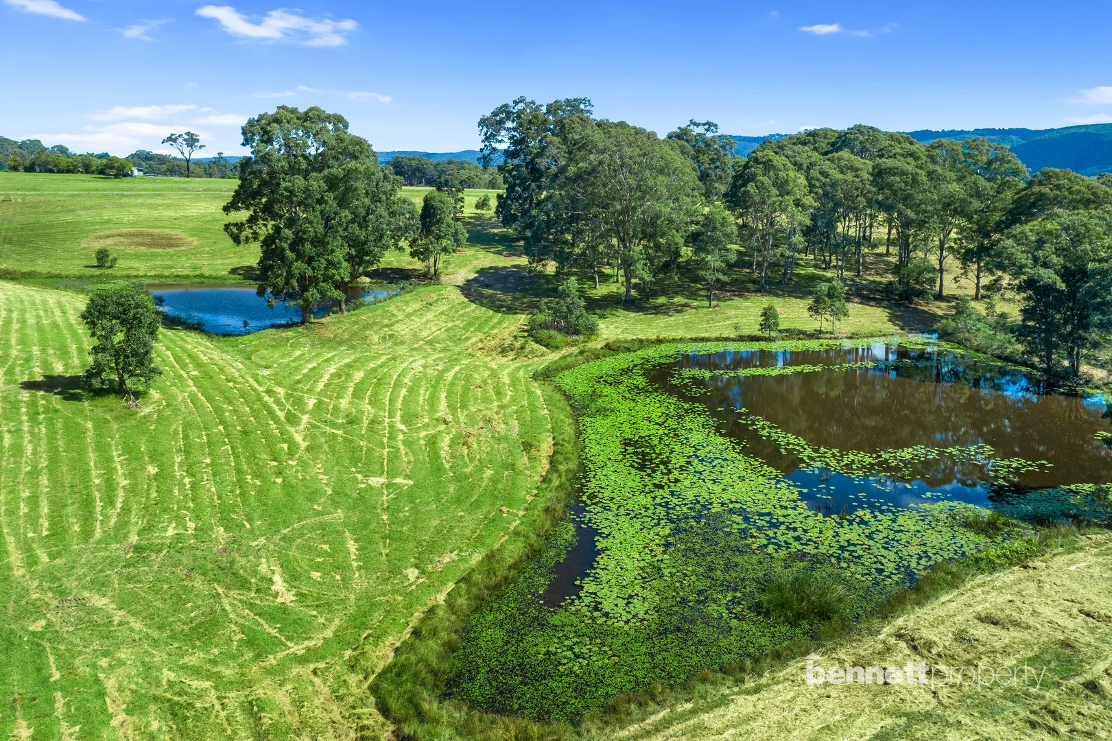 Additional image 6 of 463 Comleroy Road, Kurrajong NSW 2758