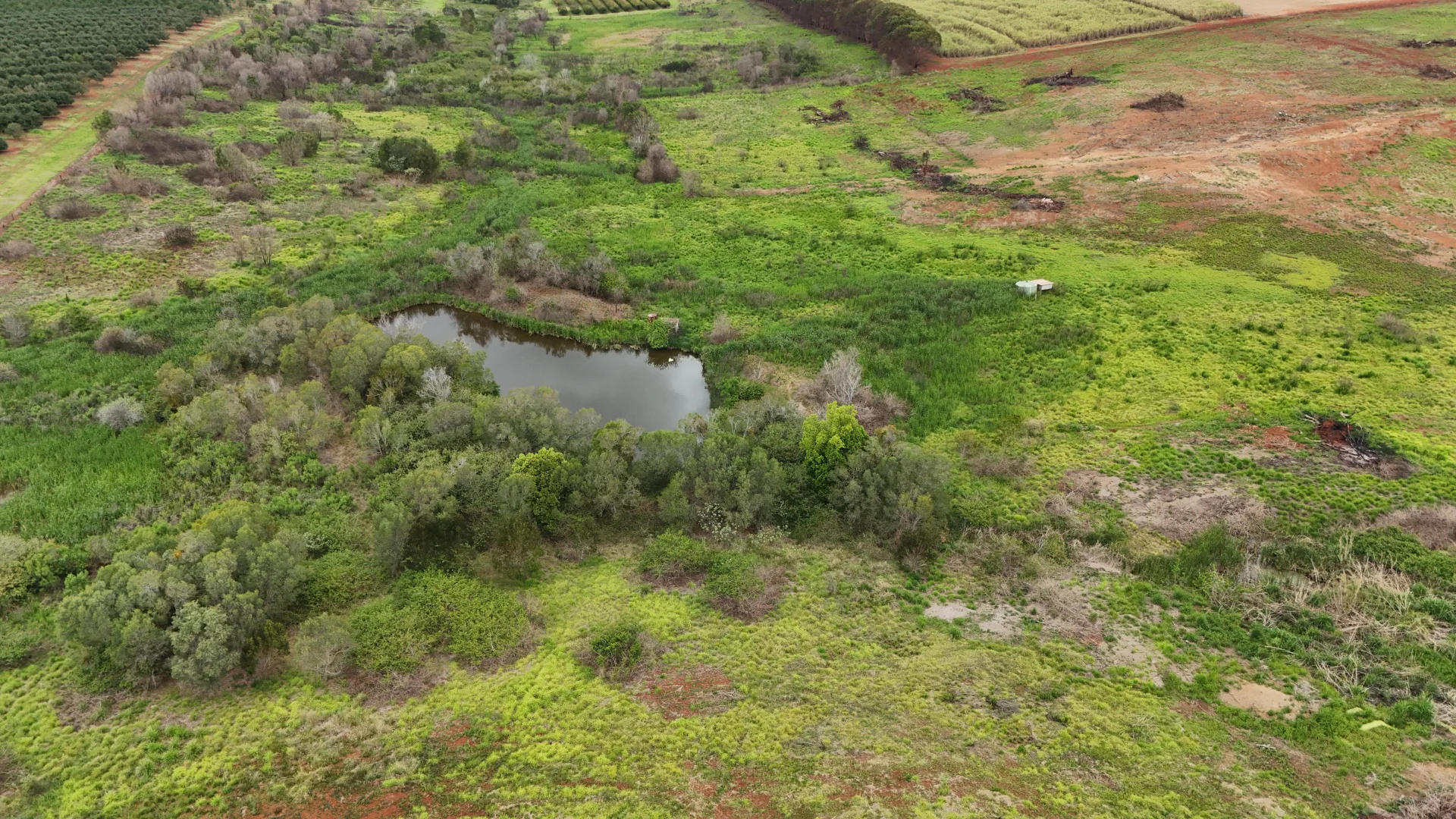 Additional image 3 of 532 Lynwood Road, North Isis QLD 4660