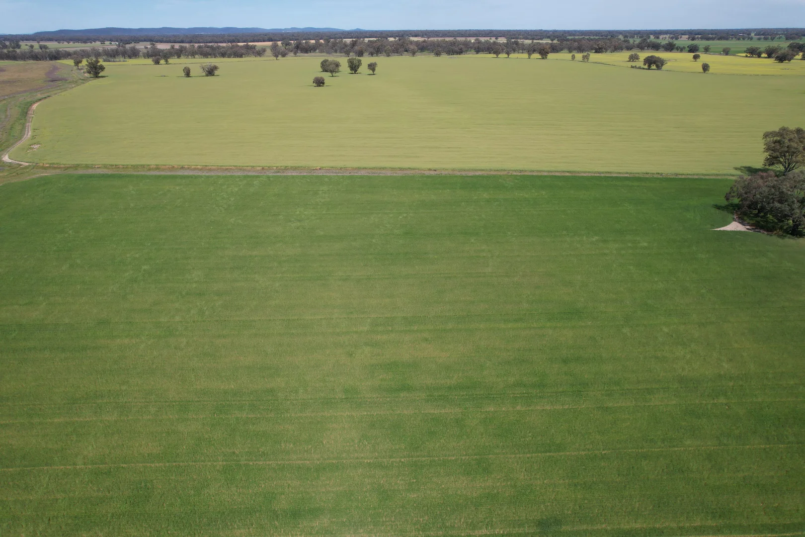 Additional image 13 of 2071 Yarrabandai Road, Bedgerabong NSW 2871