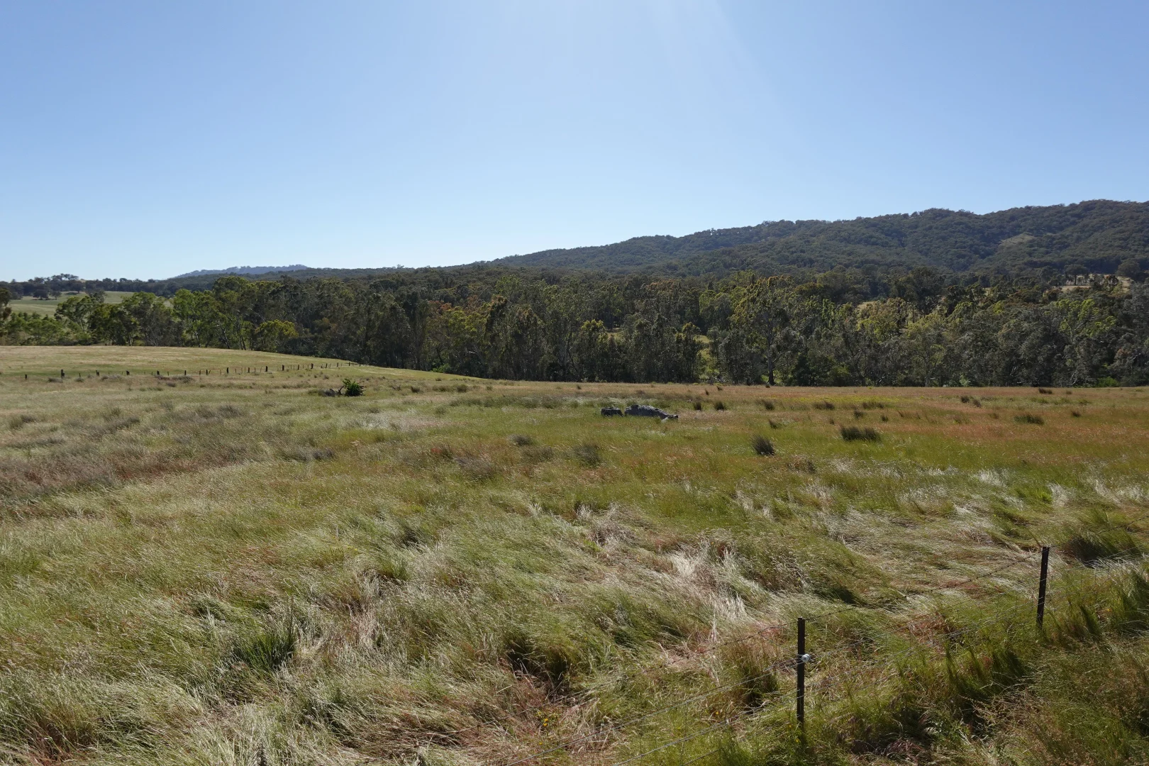 Additional image 7 of 2985 Midland Highway, Lima South VIC 3673
