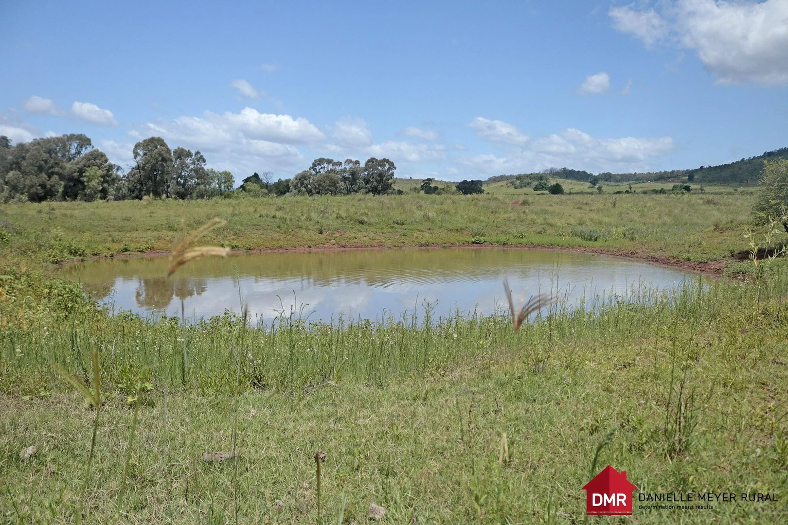 Additional image 17 of 205 Dempsters Road,, Binjour QLD 4625