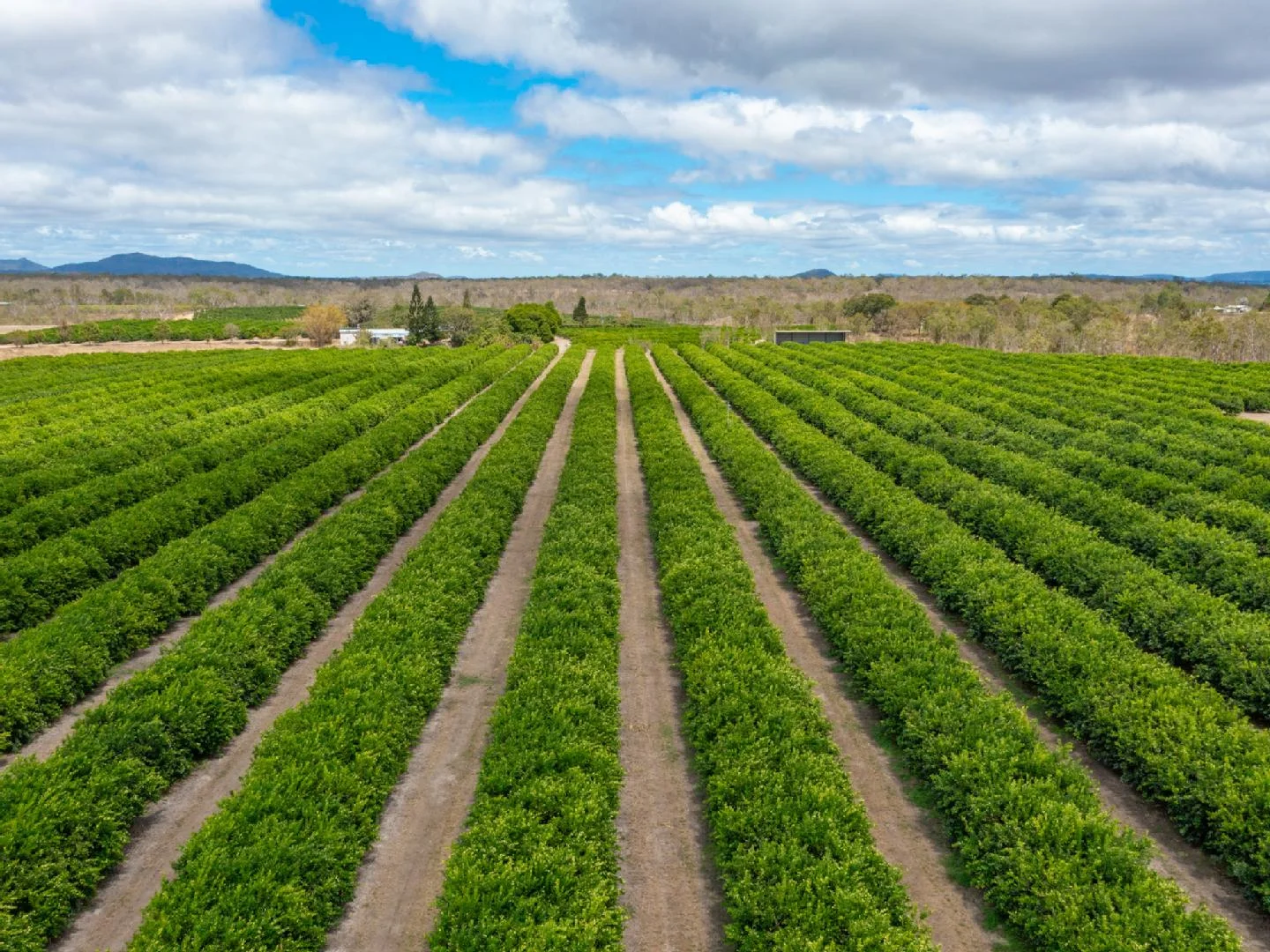 Additional image 6 of 22 LEONARDI ROAD, Mareeba QLD 4880