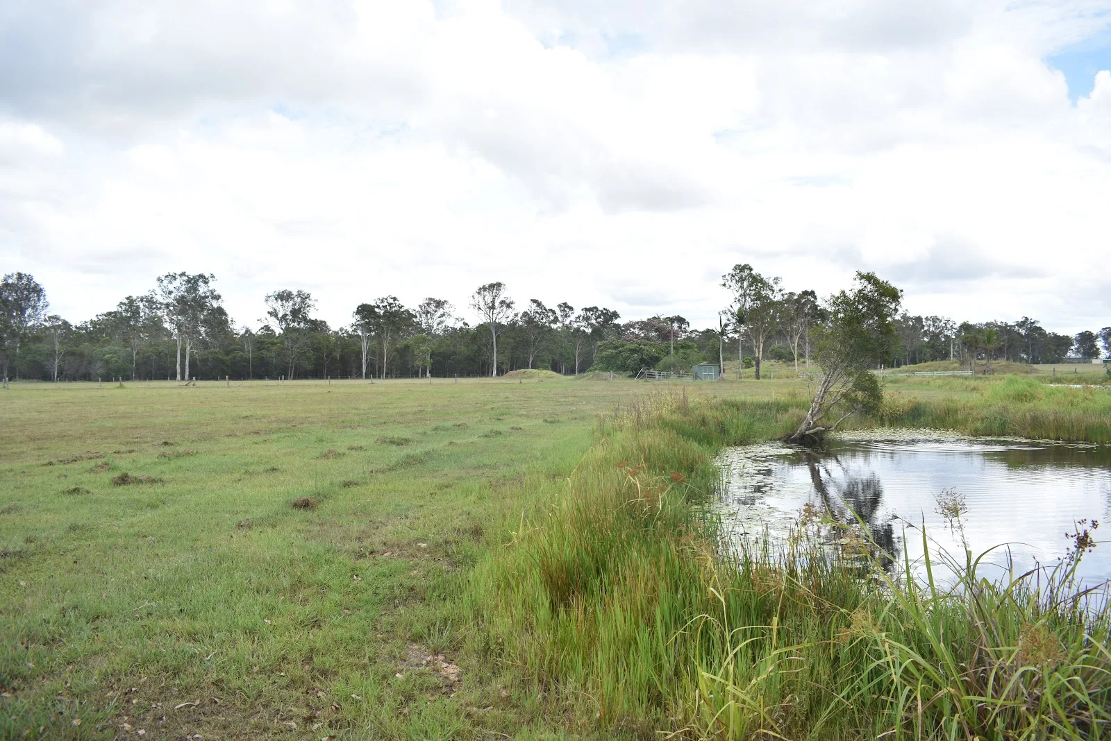 Additional image 10 of 381 Beaver Rock Road, Beaver Rock QLD 4650