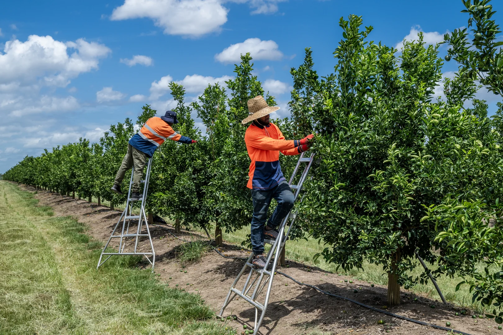 Additional image 14 of 100 Sandersons Lane, Mundubbera QLD 4626