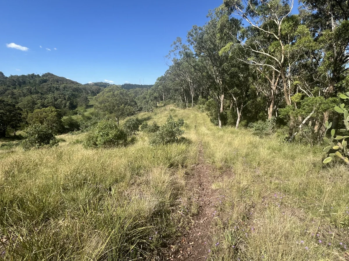 Additional image 14 of Lot 1 Dormans Gully, Bunya Mountains QLD 4405