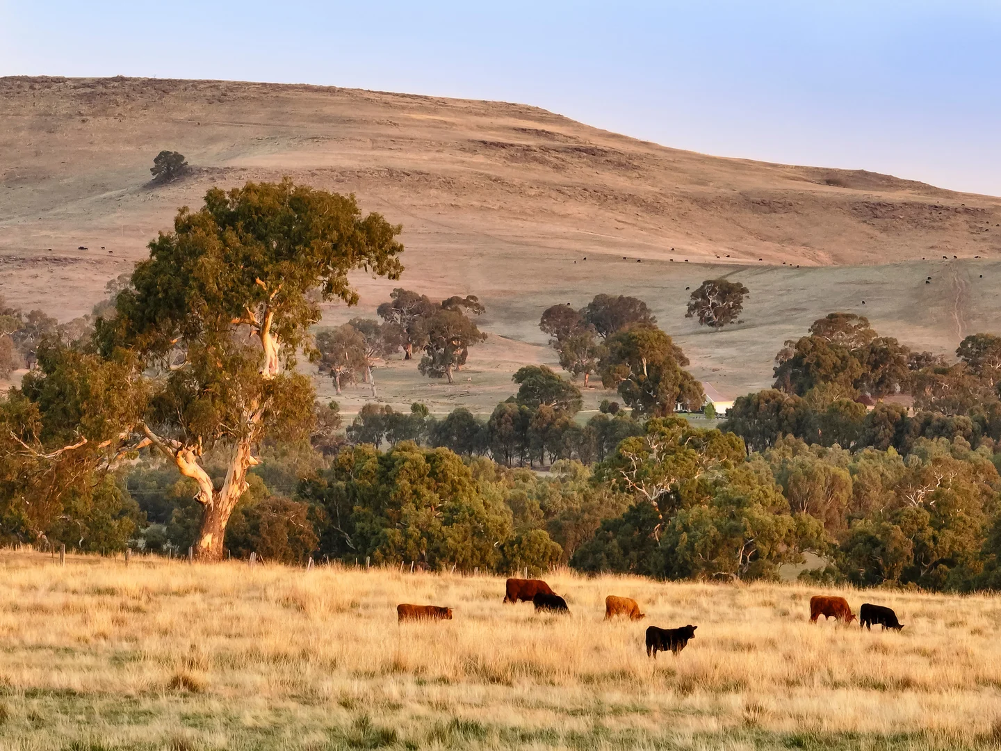 Additional image 32 of 75 McLeod Lane, Mansfield VIC 3722