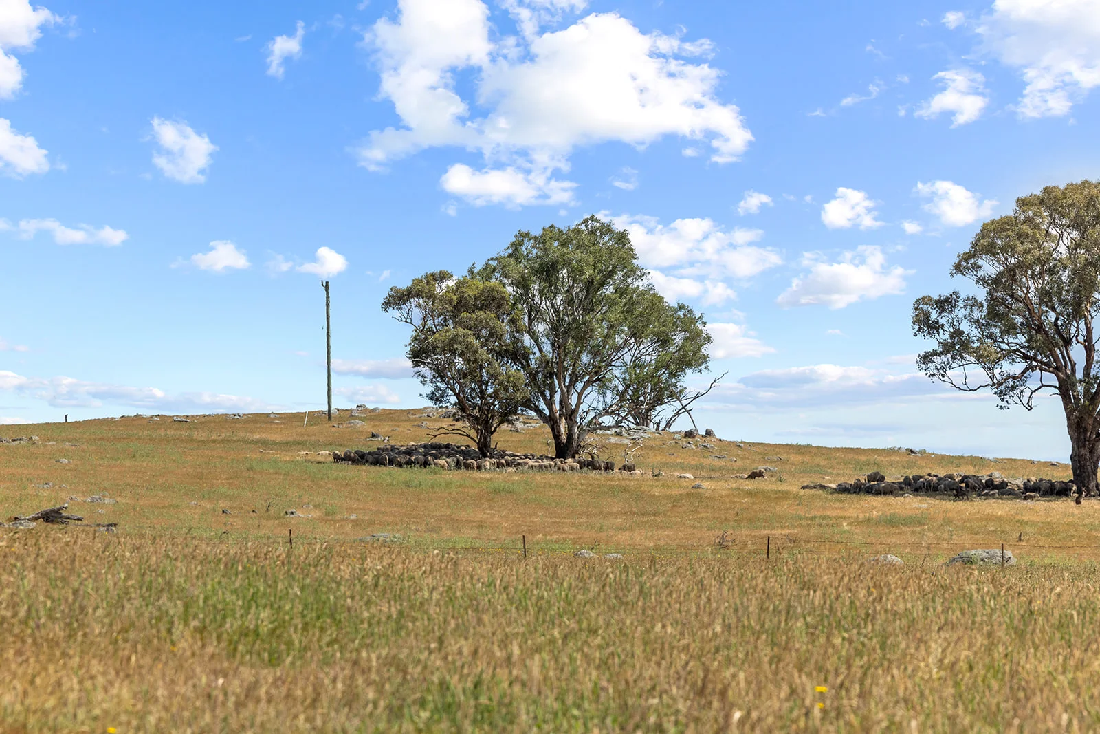 Additional image 26 of 193 Lucernvale Road, Yass NSW 2582