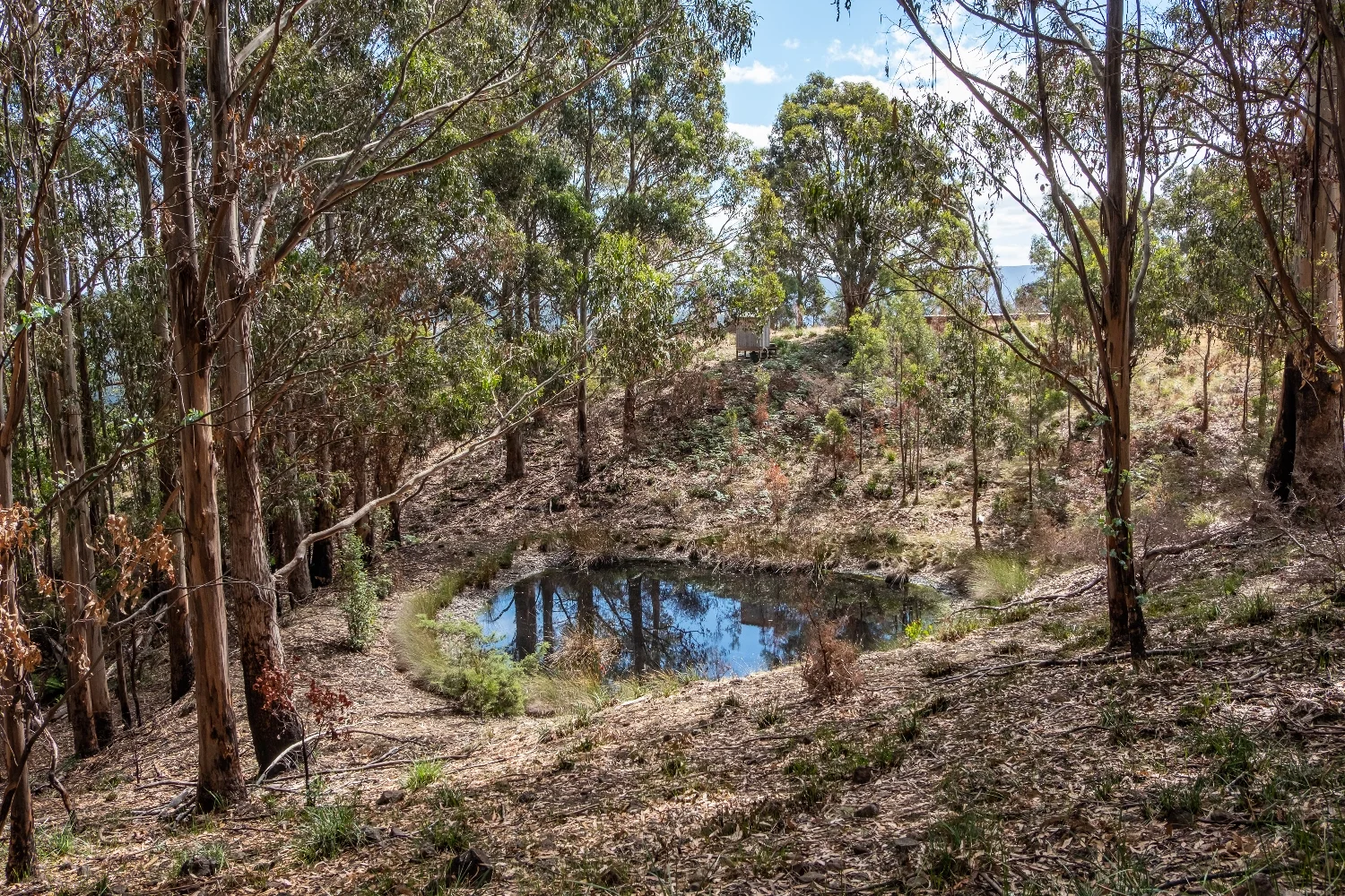 Additional image 14 of 8862 Channel Highway, Huonville TAS 7109