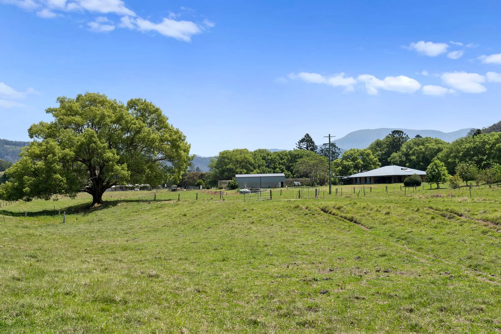 Additional image 37 of 981 Numinbah Road, Crystal Creek NSW 2484