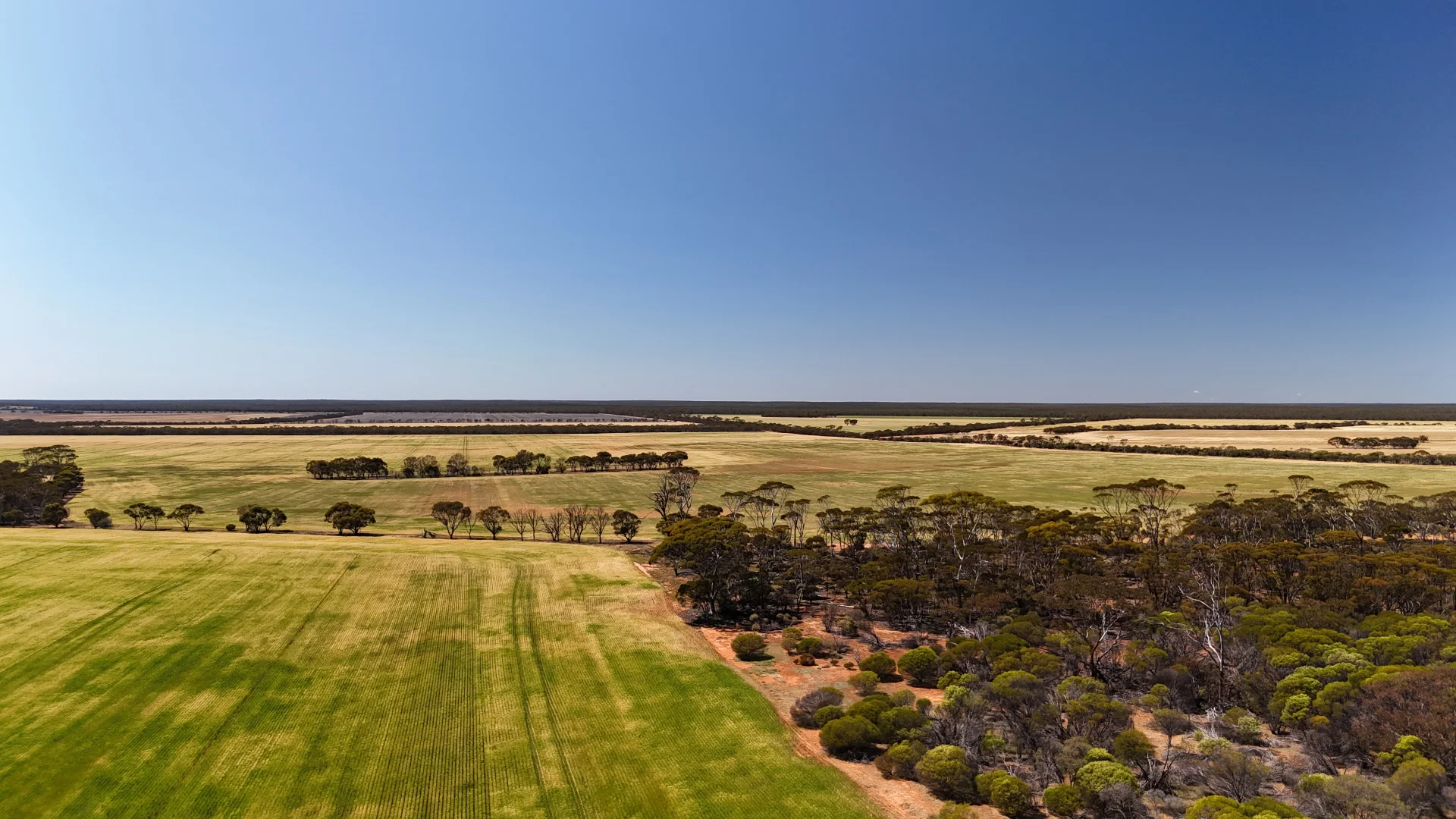 Additional image 38 of 3279 Calzoni Road, Hyden WA 6359