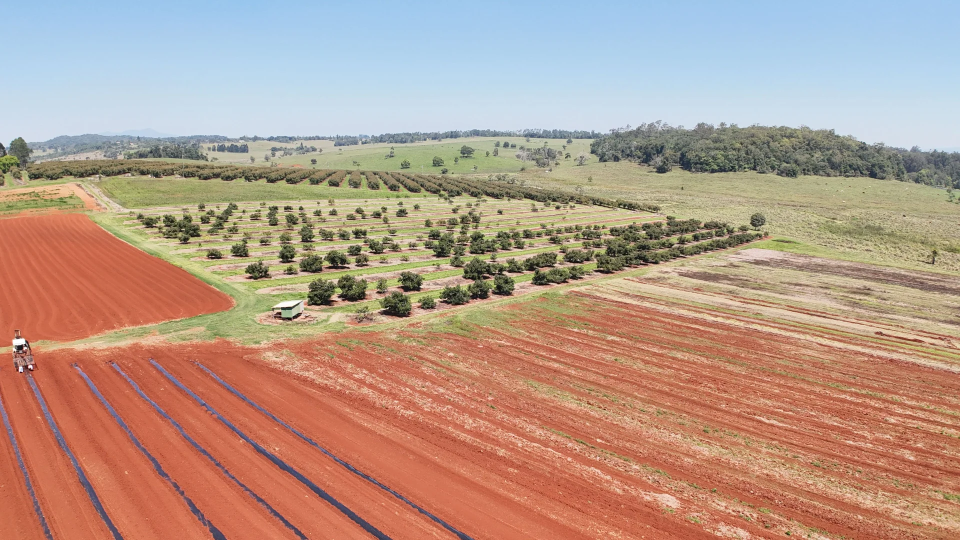 Additional image 59 of 767 Peeramon Road, Peeramon QLD 4885