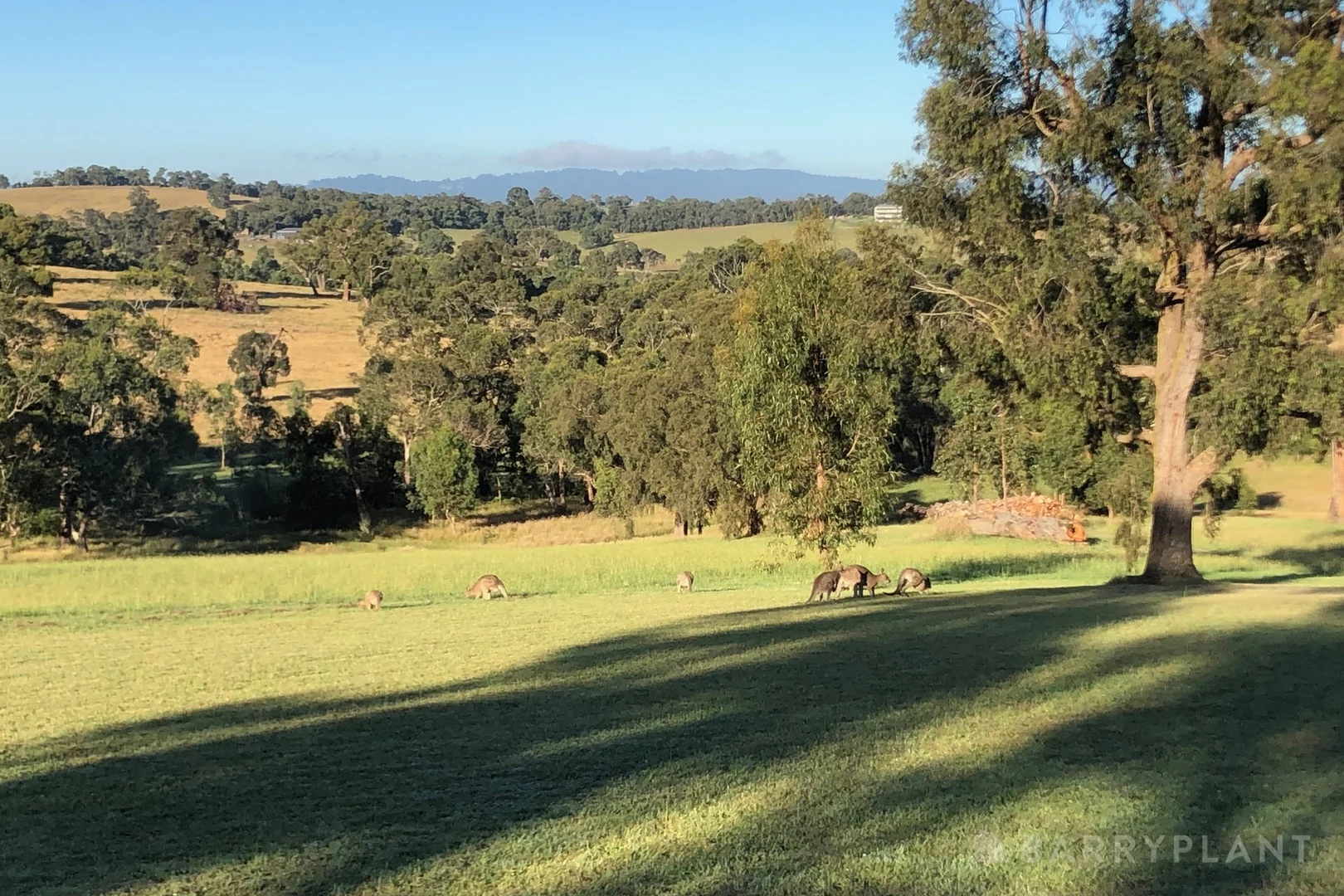 Additional image 38 of 450 Sheepstation Creek Road, Yellingbo VIC 3139