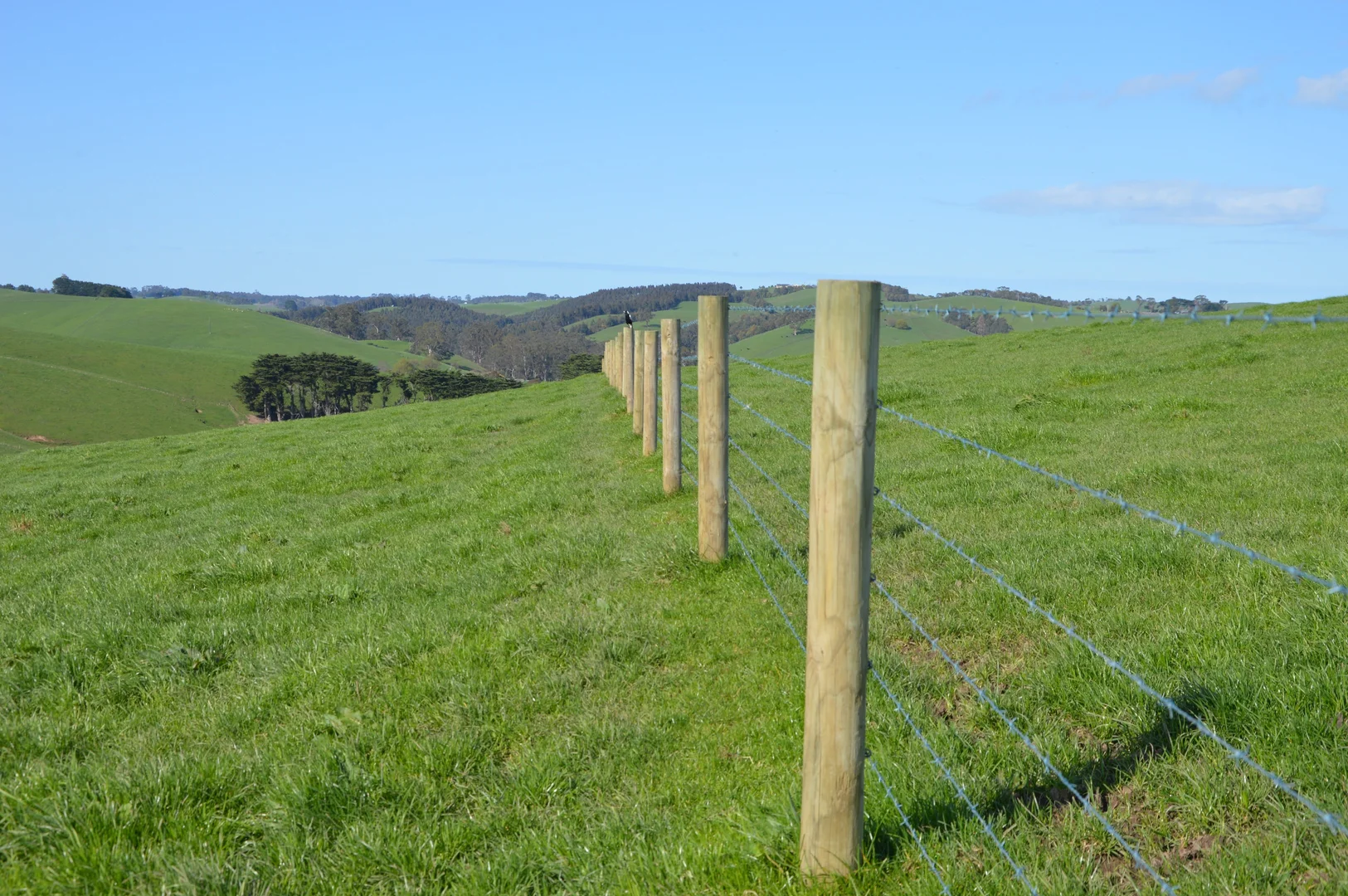 Additional image 17 of Beckett Street, Poowong VIC 3988