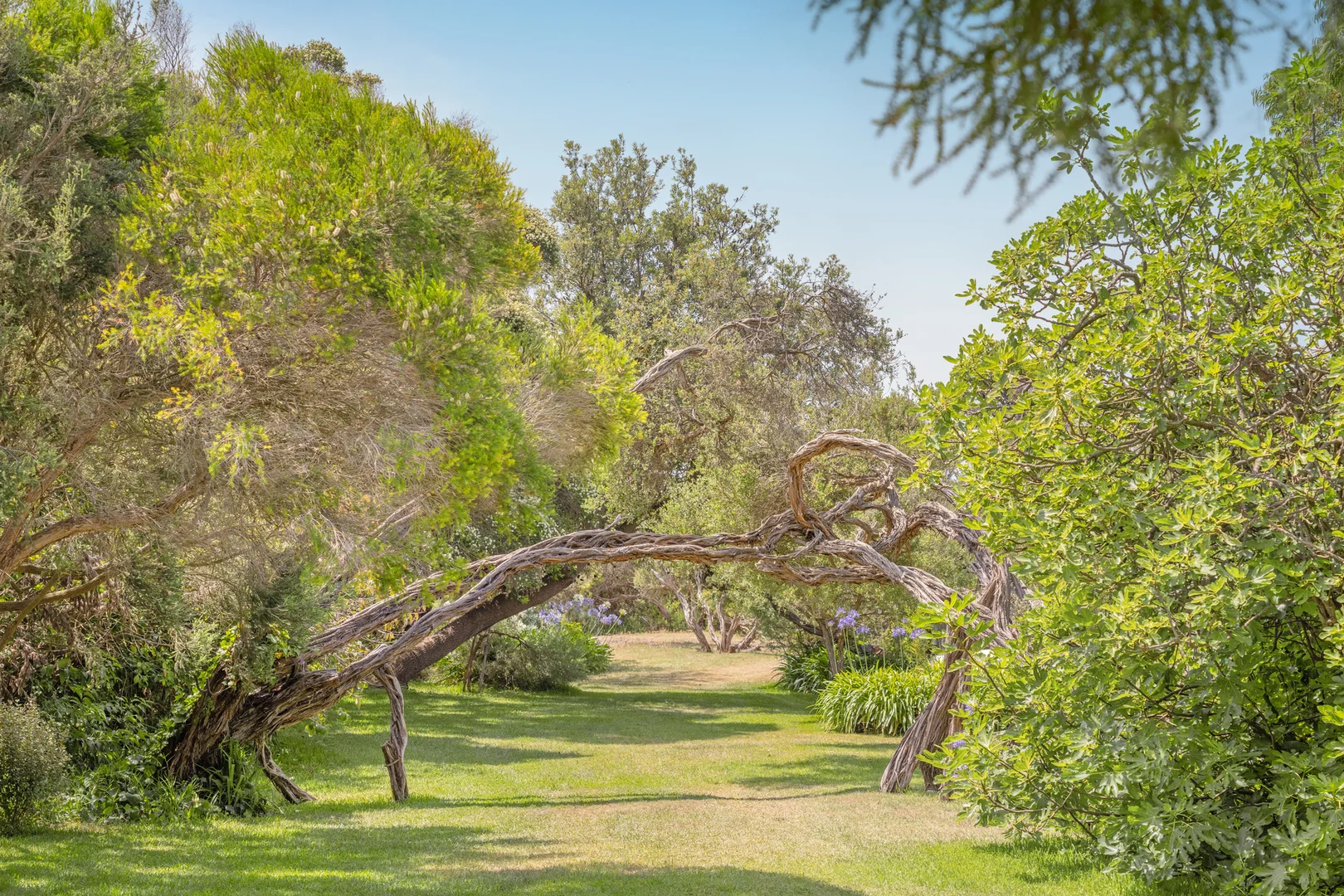 Additional image 17 of 4 McColls Way, Portsea VIC 3944