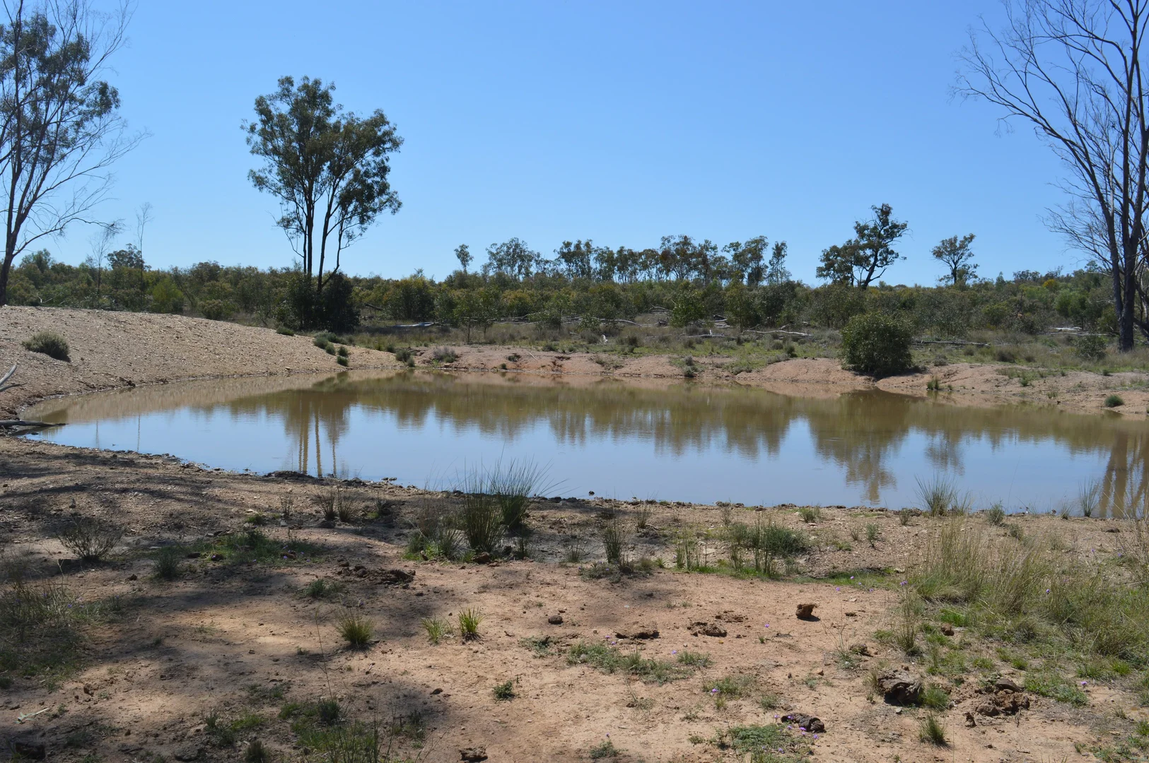 Additional image 13 of 3094 Mosquito Creek Road, Mosquito Creek QLD 4387