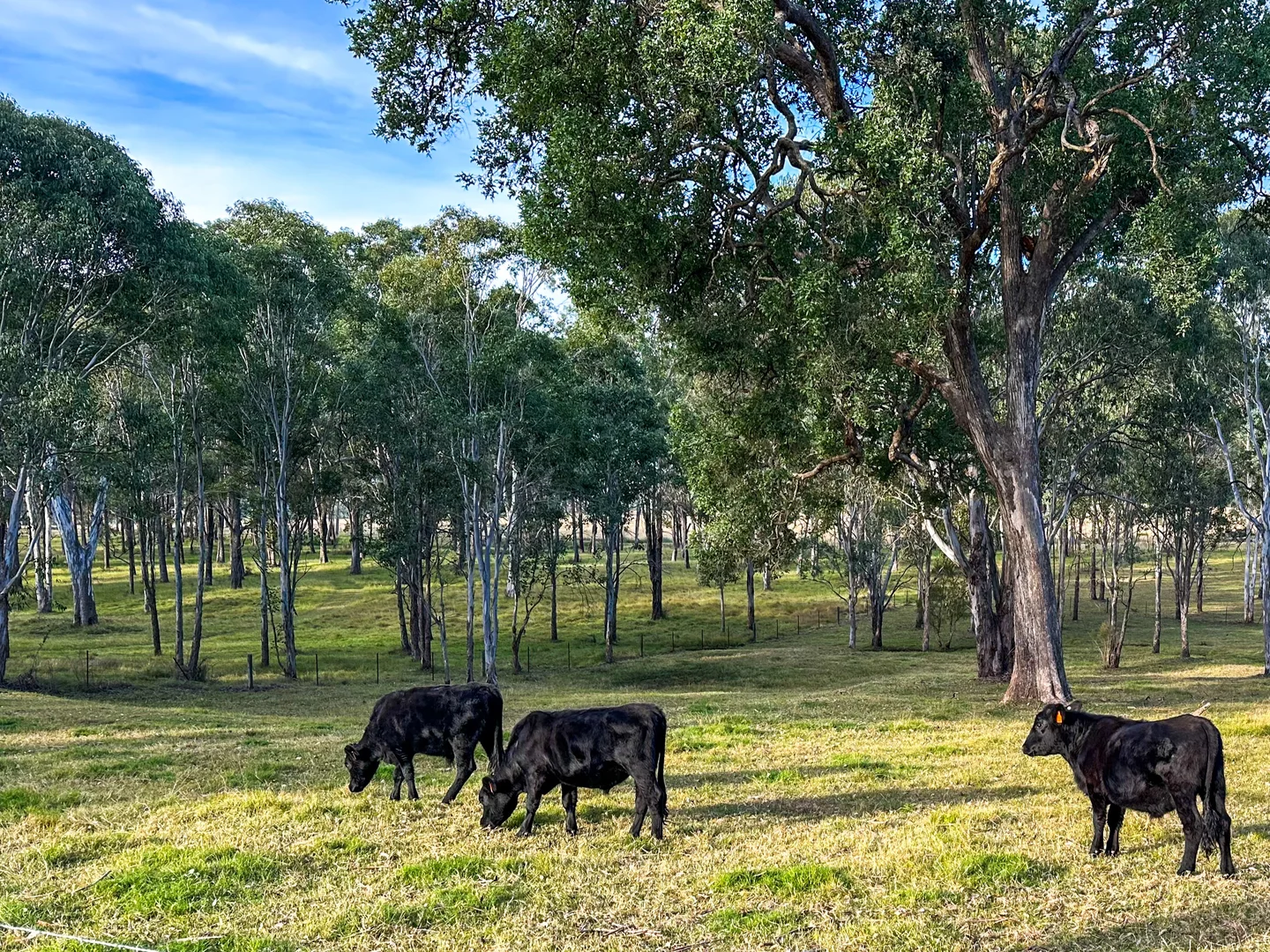 Additional image 29 of 377-379 Cobbitty Road, Cobbitty NSW 2570