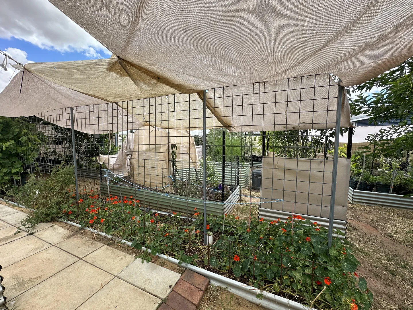 Additional image 29 of 22 Rifle North Street, Wagin WA 6315