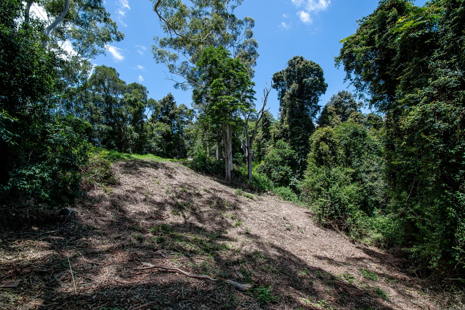 Additional image 10 of 156 Freds Road, Mount Pleasant QLD 4521