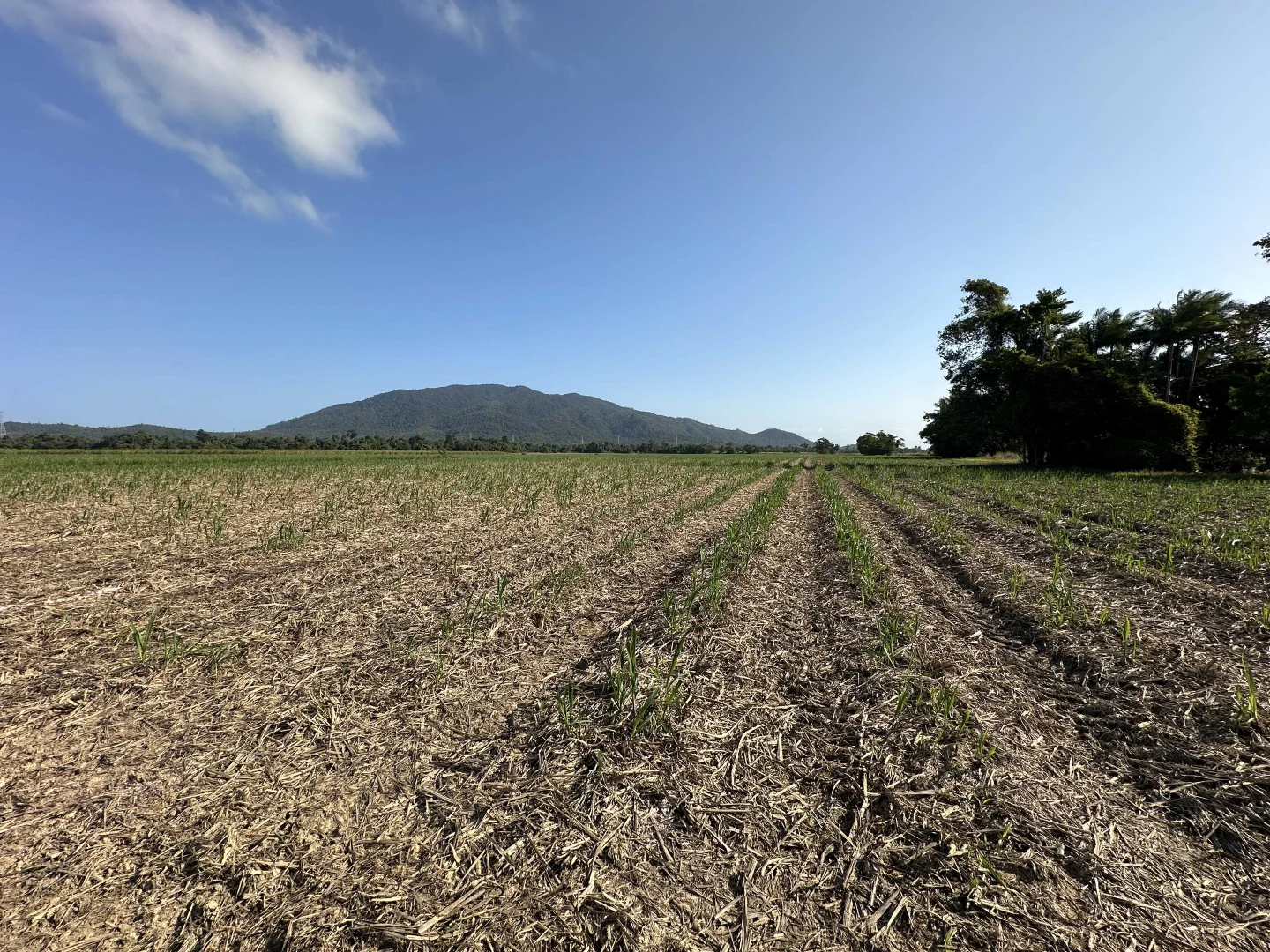 Additional image 13 of Lot 2 Broderick Road, Midgenoo QLD 4854