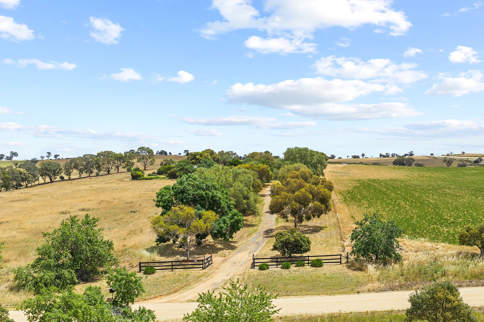 Additional image 4 of 215 Holman Road, Murrumburrah NSW 2587