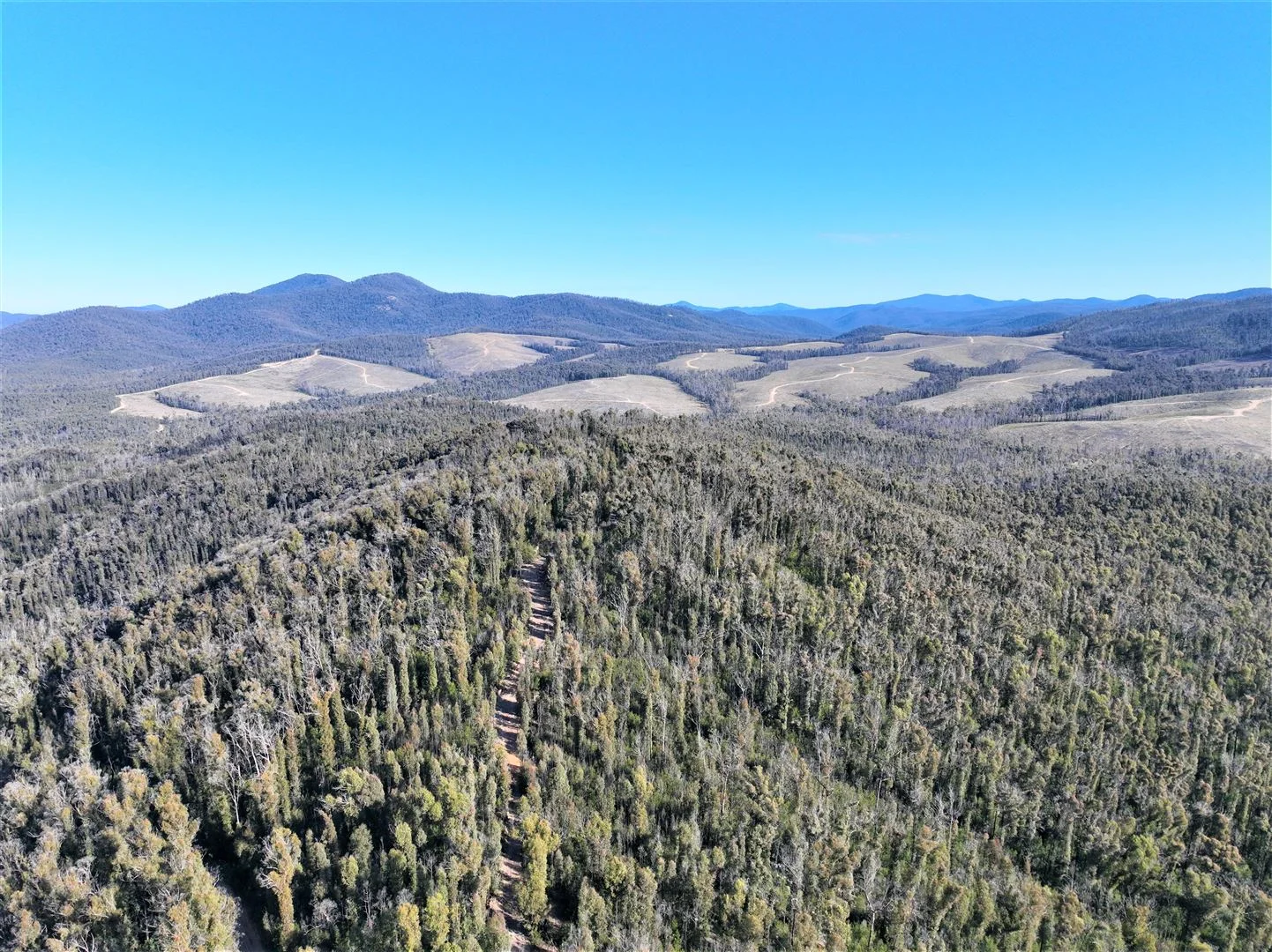 Additional image 11 of Lot 34, 35, 36, 79 Monaro Highway, Rockton NSW 2632