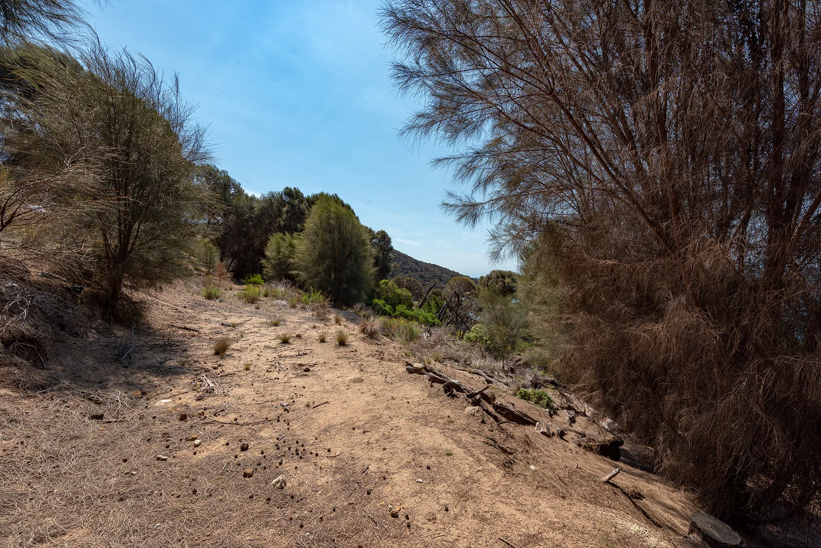 Additional image 15 of Lot 3 Palana Road, Palana TAS 7255