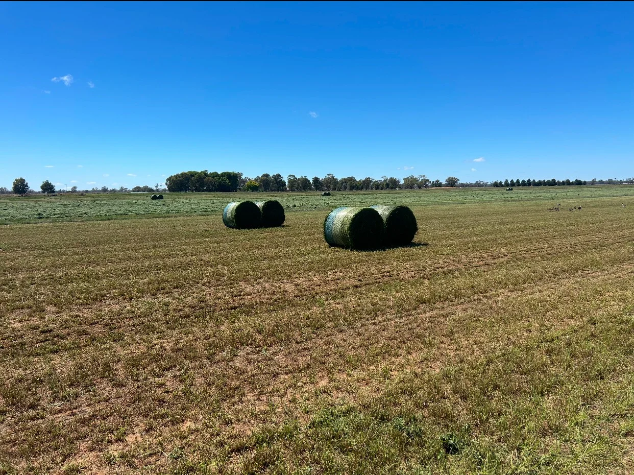 Additional image 39 of 229 Elliots Lane, Forbes NSW 2871