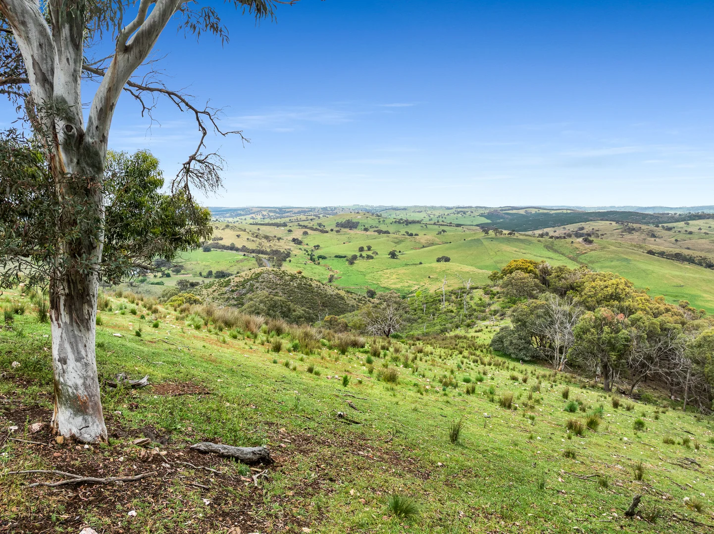 Additional image 16 of 517 White Rocks Road, Lewis Ponds NSW 2800