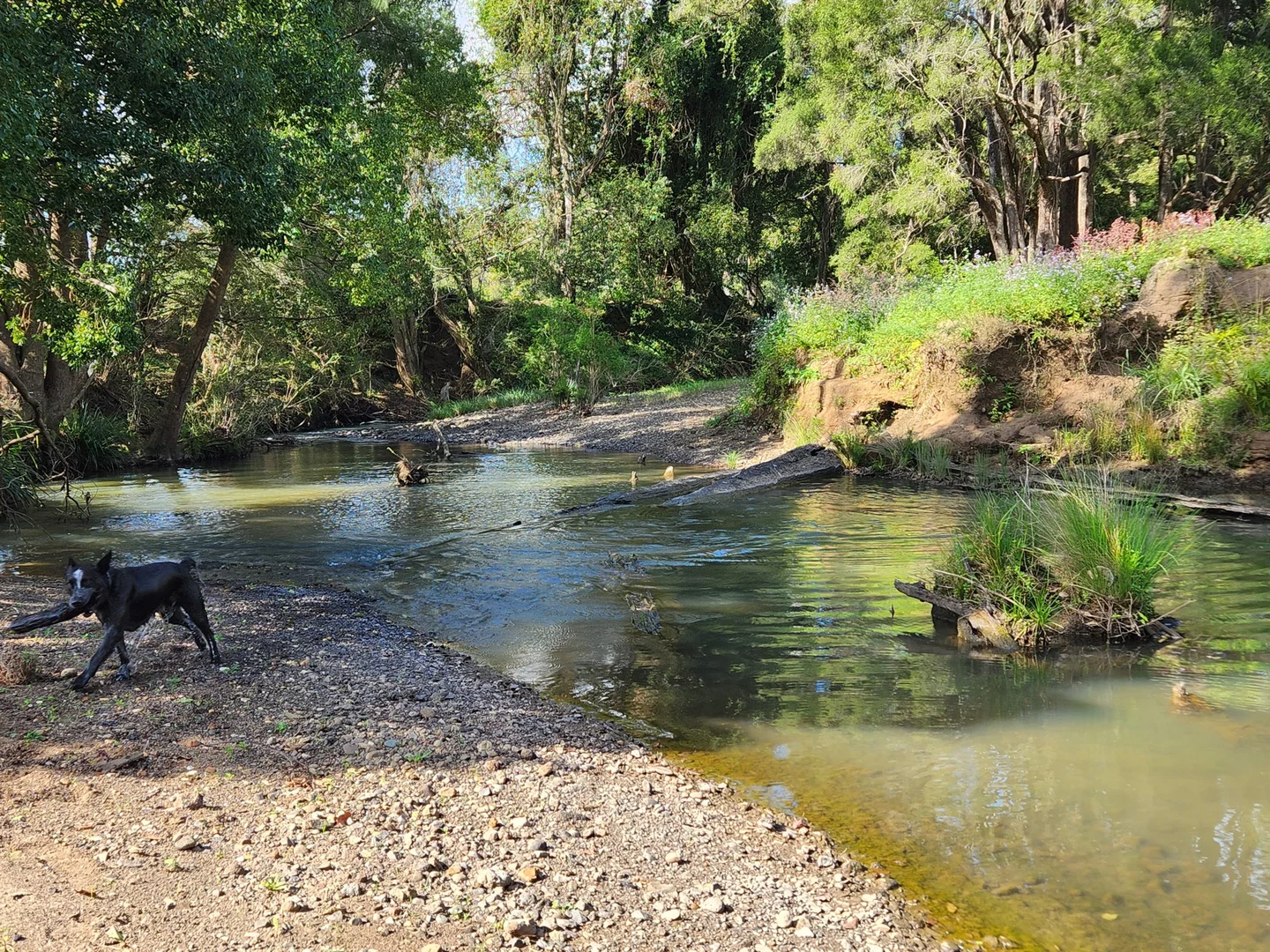 Additional image 32 of 30 Larkins Road, Tyalgum NSW 2484