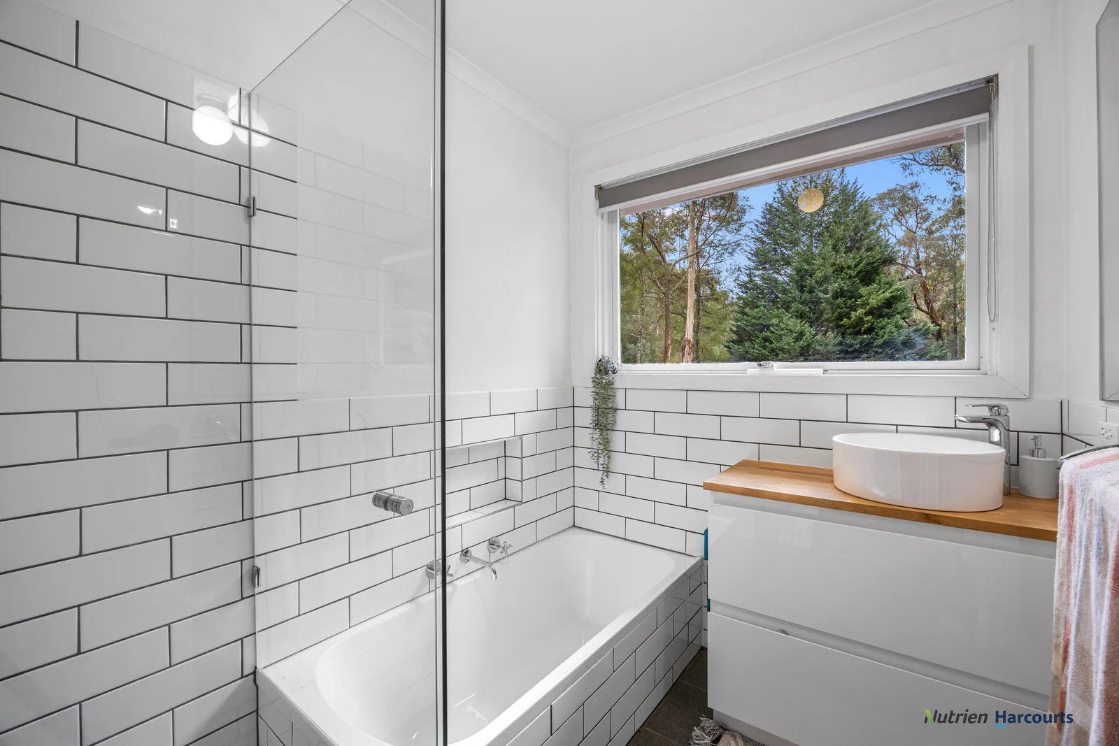 Additional image 14 of 426 Maroondah Highway, Narbethong VIC 3778