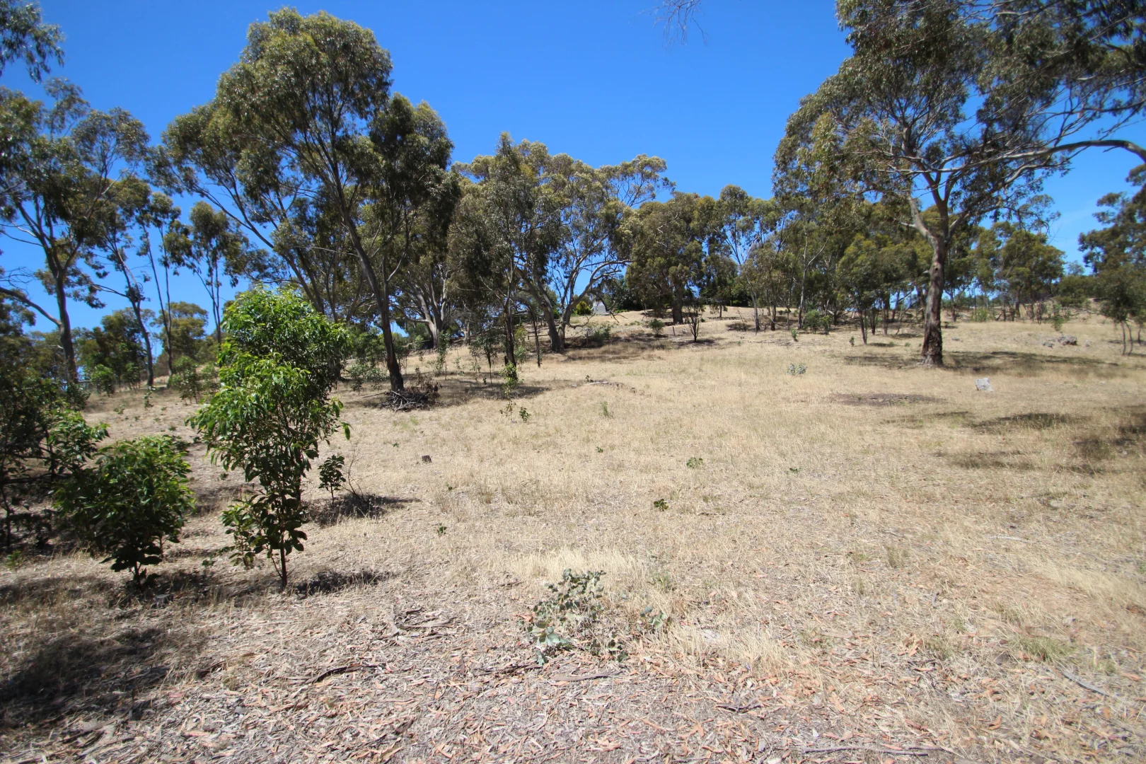 Additional image 14 of Lot 44 Norman Drive, Stanley Flat SA 5453
