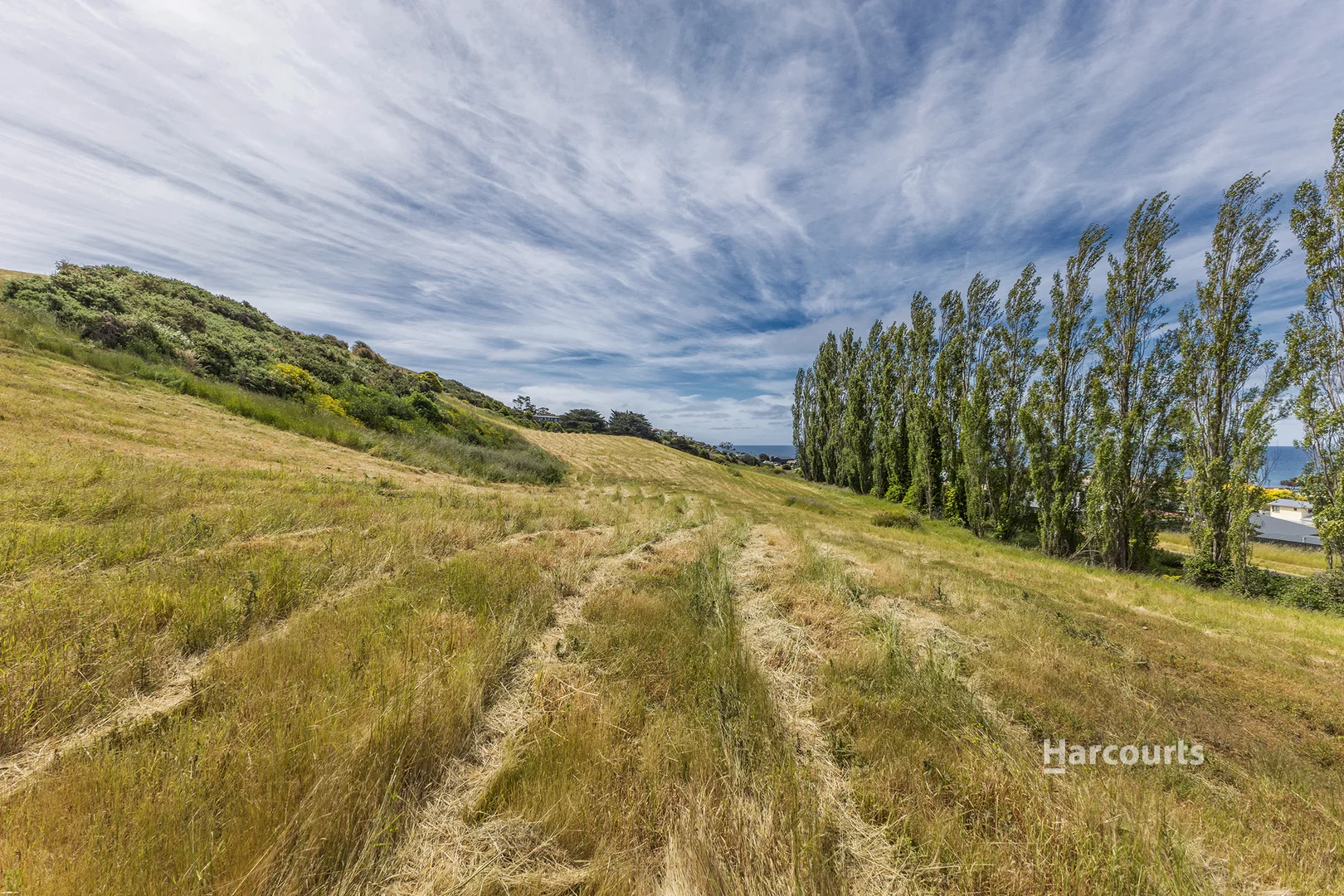 Additional image 4 of 12 Preservation Drive, Penguin TAS 7316