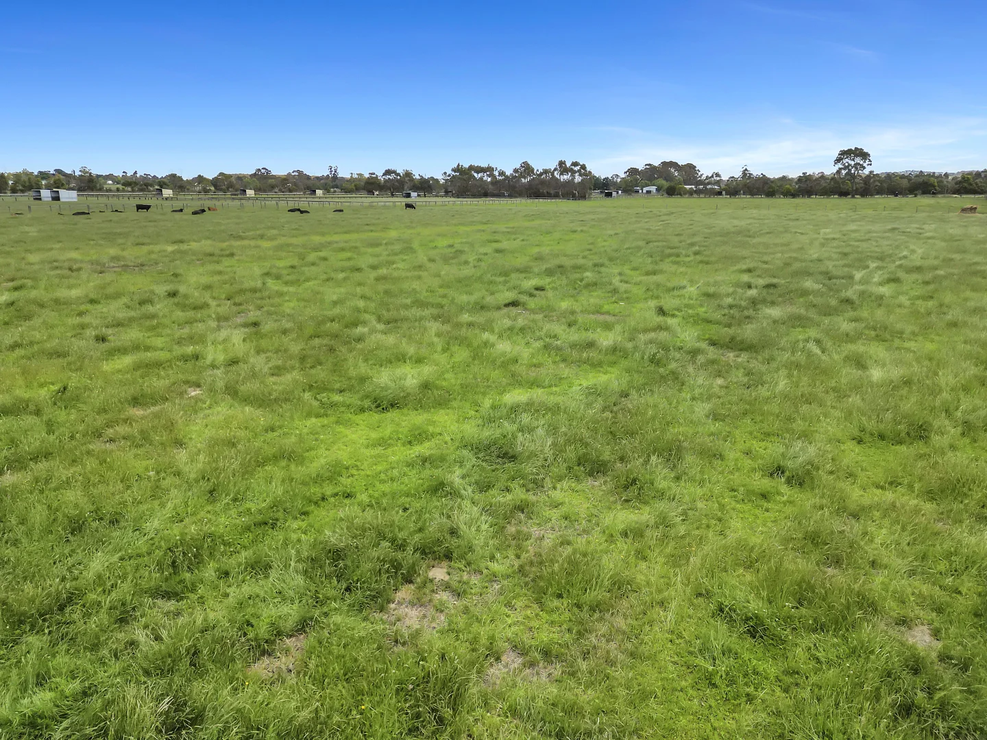 Additional image 6 of 195 Fourteen Mile Road, Garfield VIC 3814