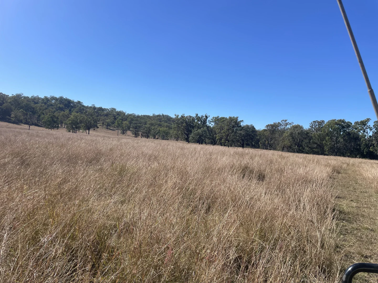 Additional image 5 of 186 Mungungo Creek Road, Monto QLD 4630