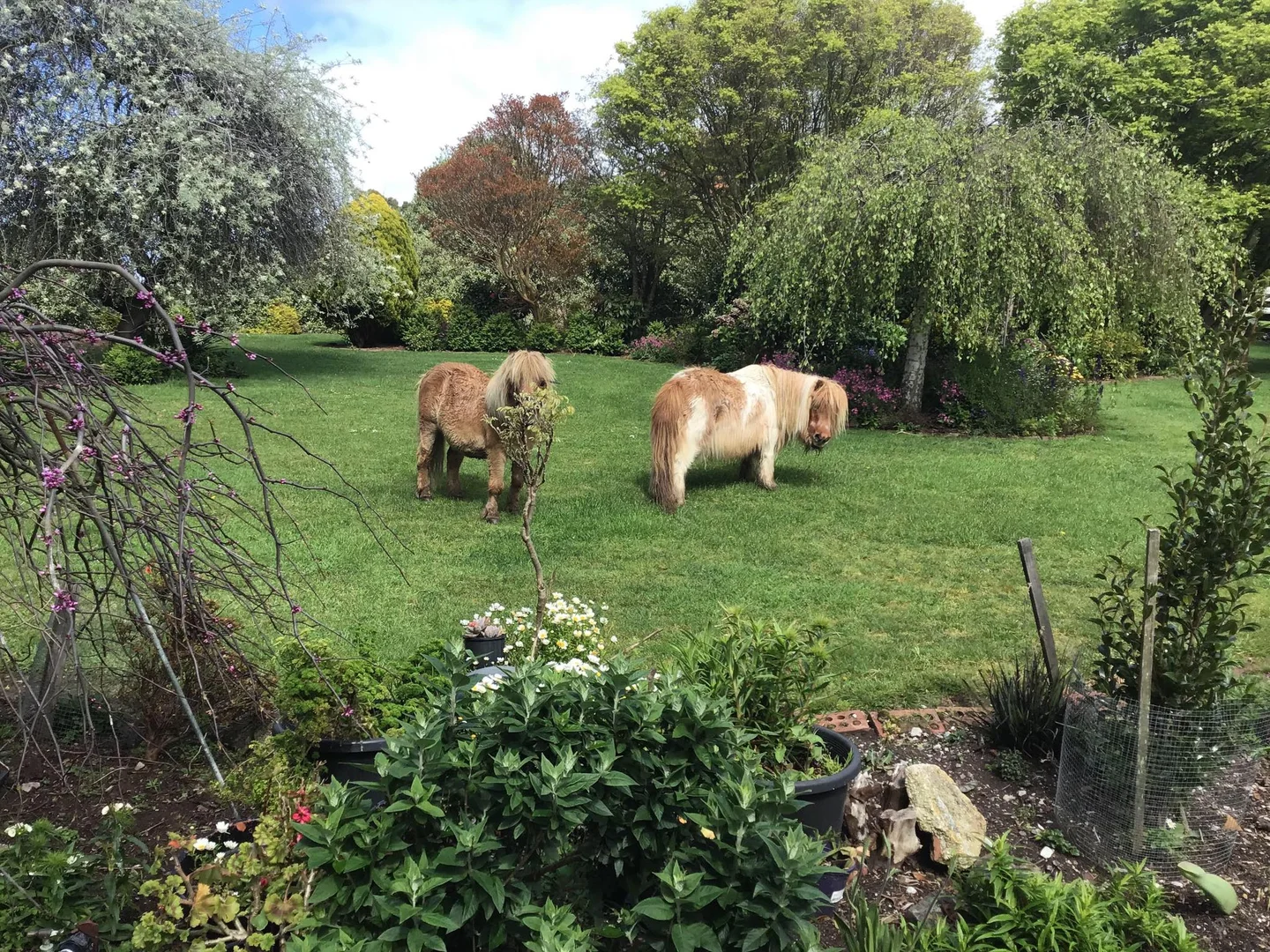 Additional image 43 of 99 King Street, Smithton TAS 7330