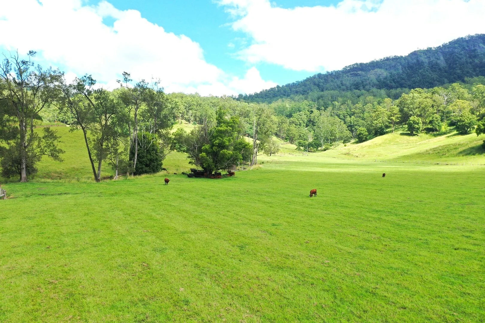 Additional image 38 of 1061 Lynches Creek Road, Kyogle NSW 2474