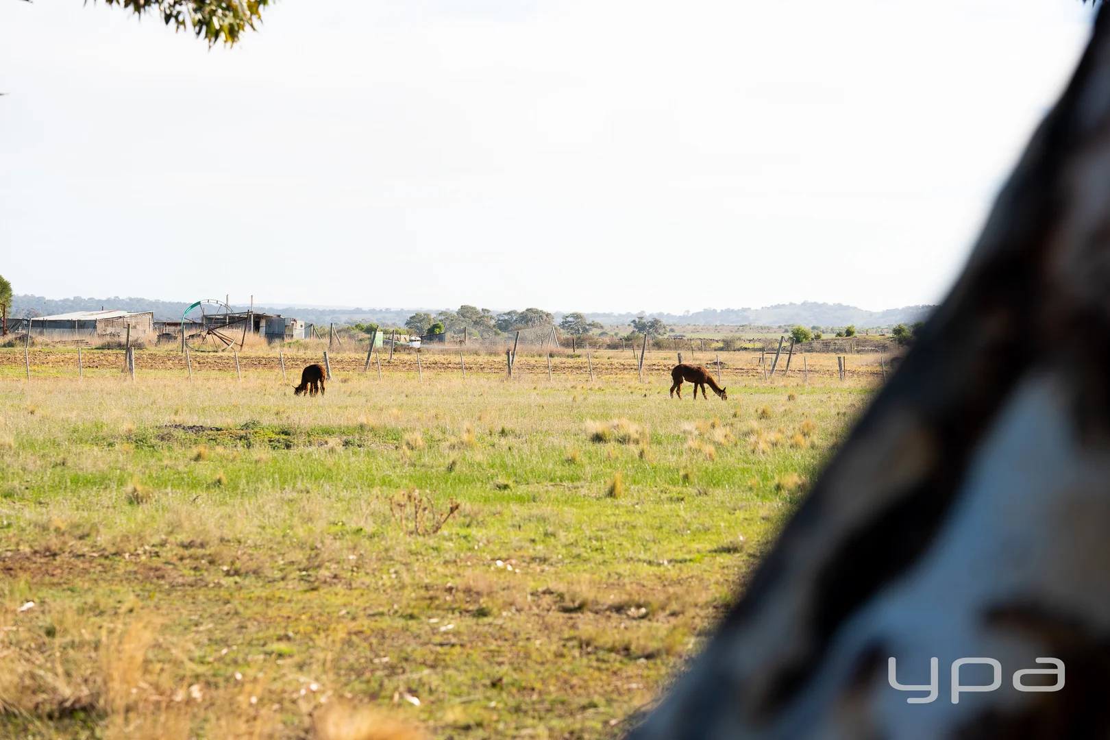 Additional image 5 of 90 William Road, Little River VIC 3211