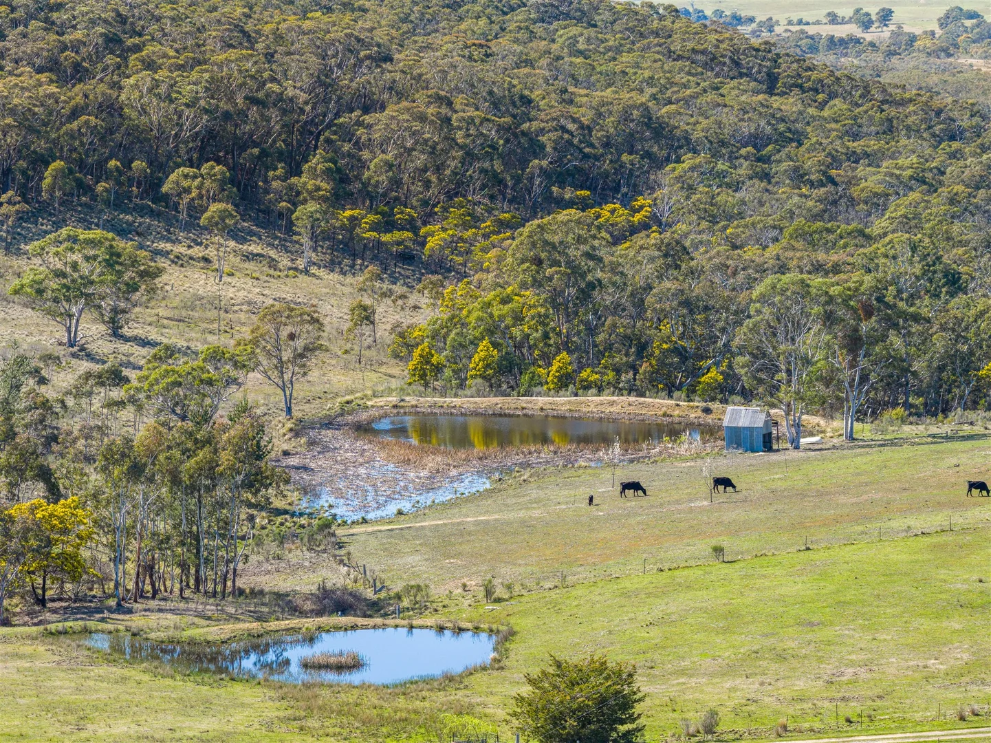 Additional image 29 of 593 Forest Siding Road, Middle Arm NSW 2580