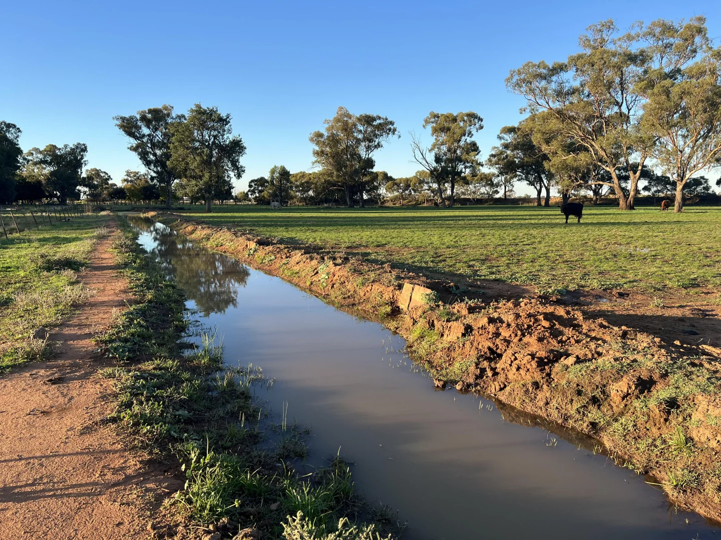 Additional image 18 of 651 Jerilderie Road, Berrigan NSW 2712