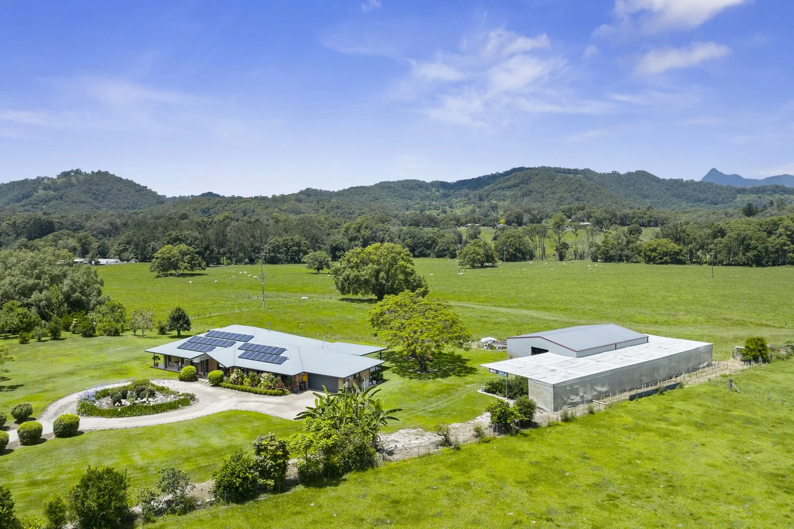 Additional image 5 of 981 Numinbah Road, Crystal Creek NSW 2484