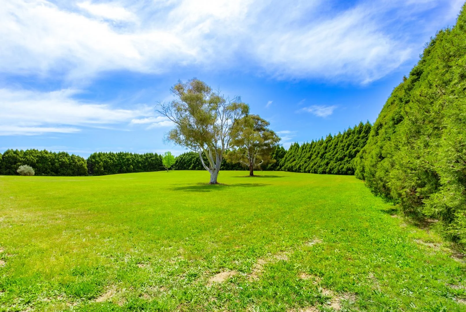 Additional image 2 of 80 Murrumbateman Road, Murrumbateman NSW 2582