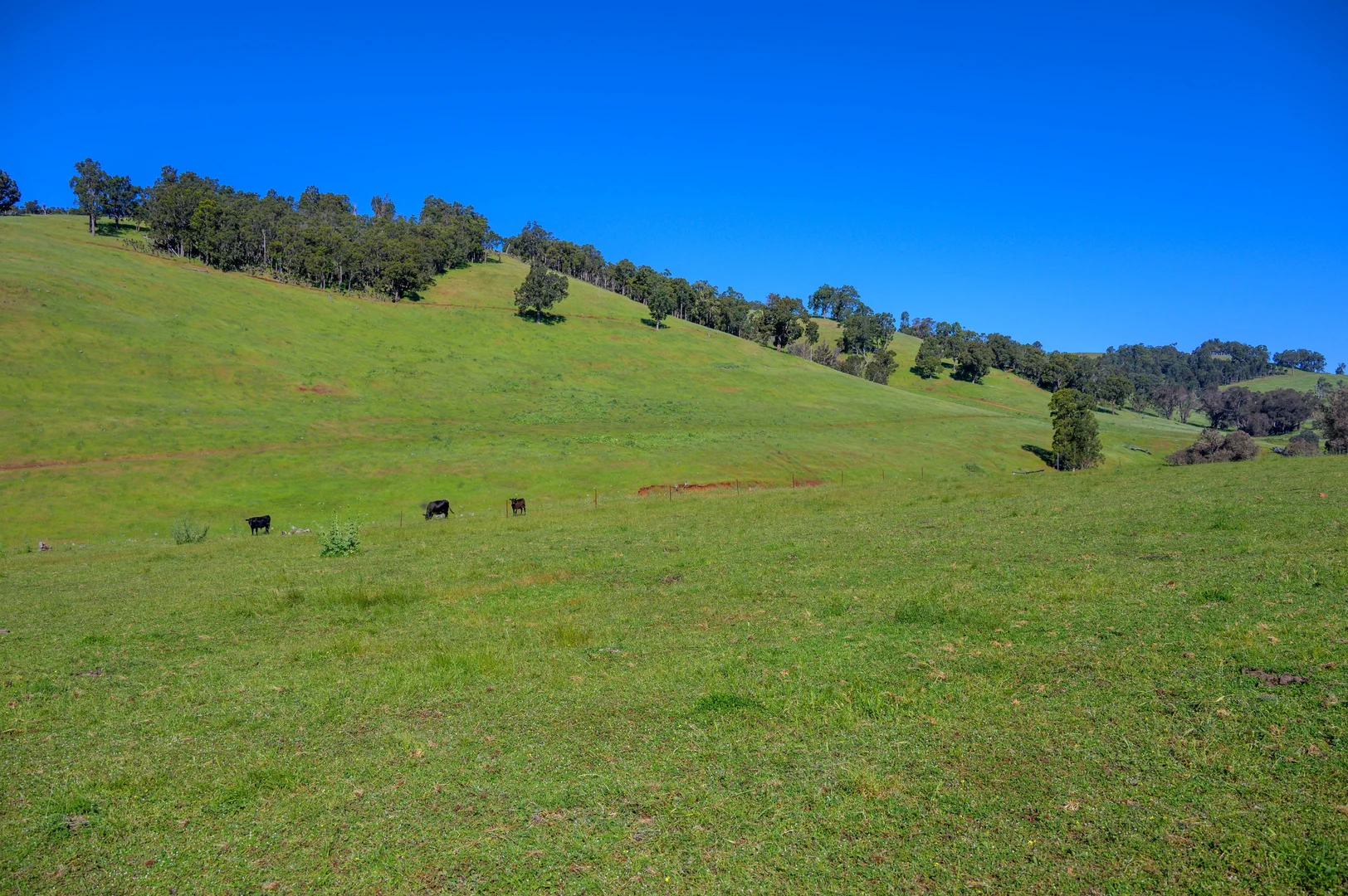 Additional image 9 of 305 & Lot 8138 Balingup-Nannup Road, Balingup WA 6253