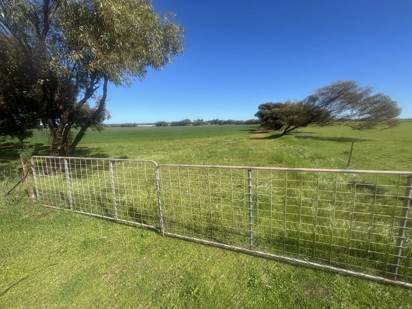 Lot 1152 Narngulu, Narngulu WA 6532