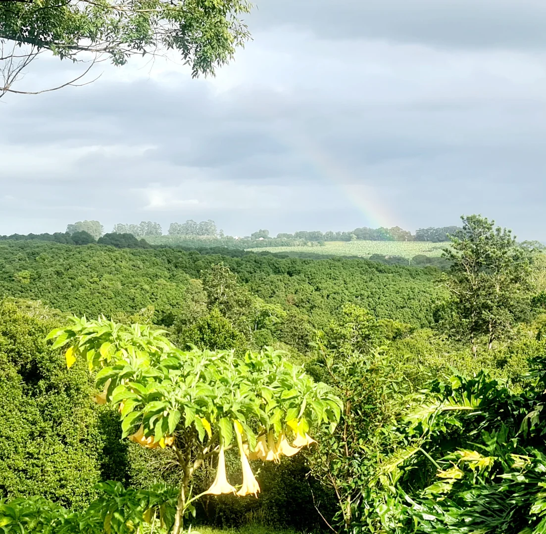 Additional image 27 of 5 Whian Whian Road, Dunoon NSW 2480