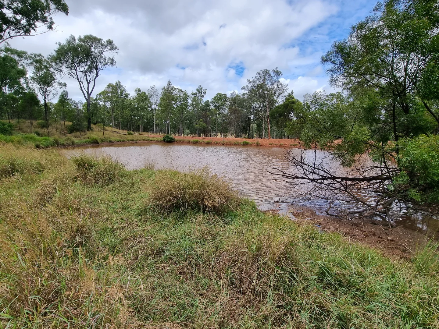 Additional image 4 of 725 Mount Mceuen Road, Wondai QLD 4606