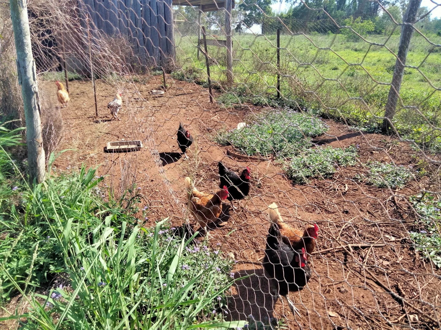 Additional image 43 of 2913 Rosedale Road, Yandaran QLD 4673