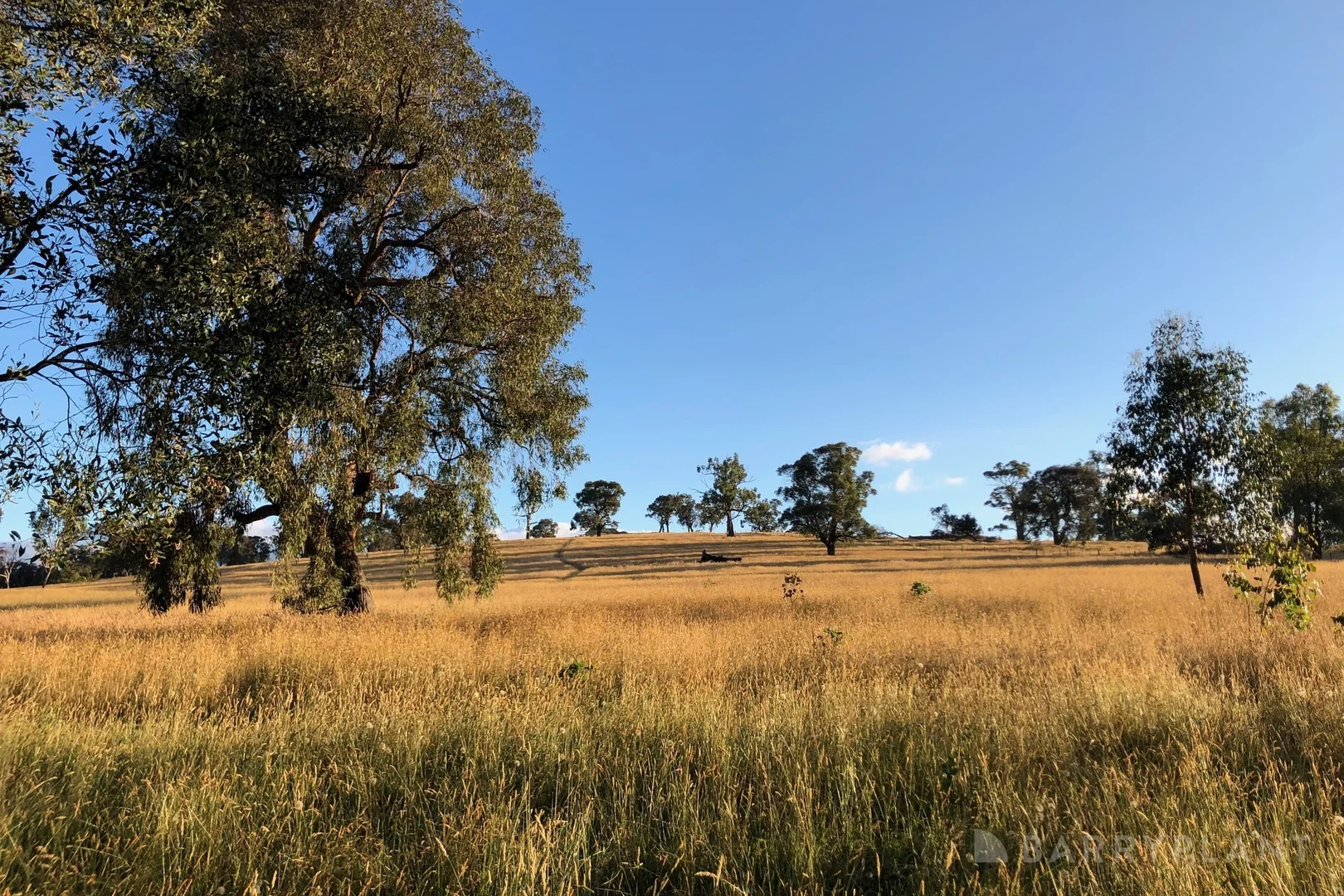 Additional image 14 of 450 Sheepstation Creek Road, Yellingbo VIC 3139